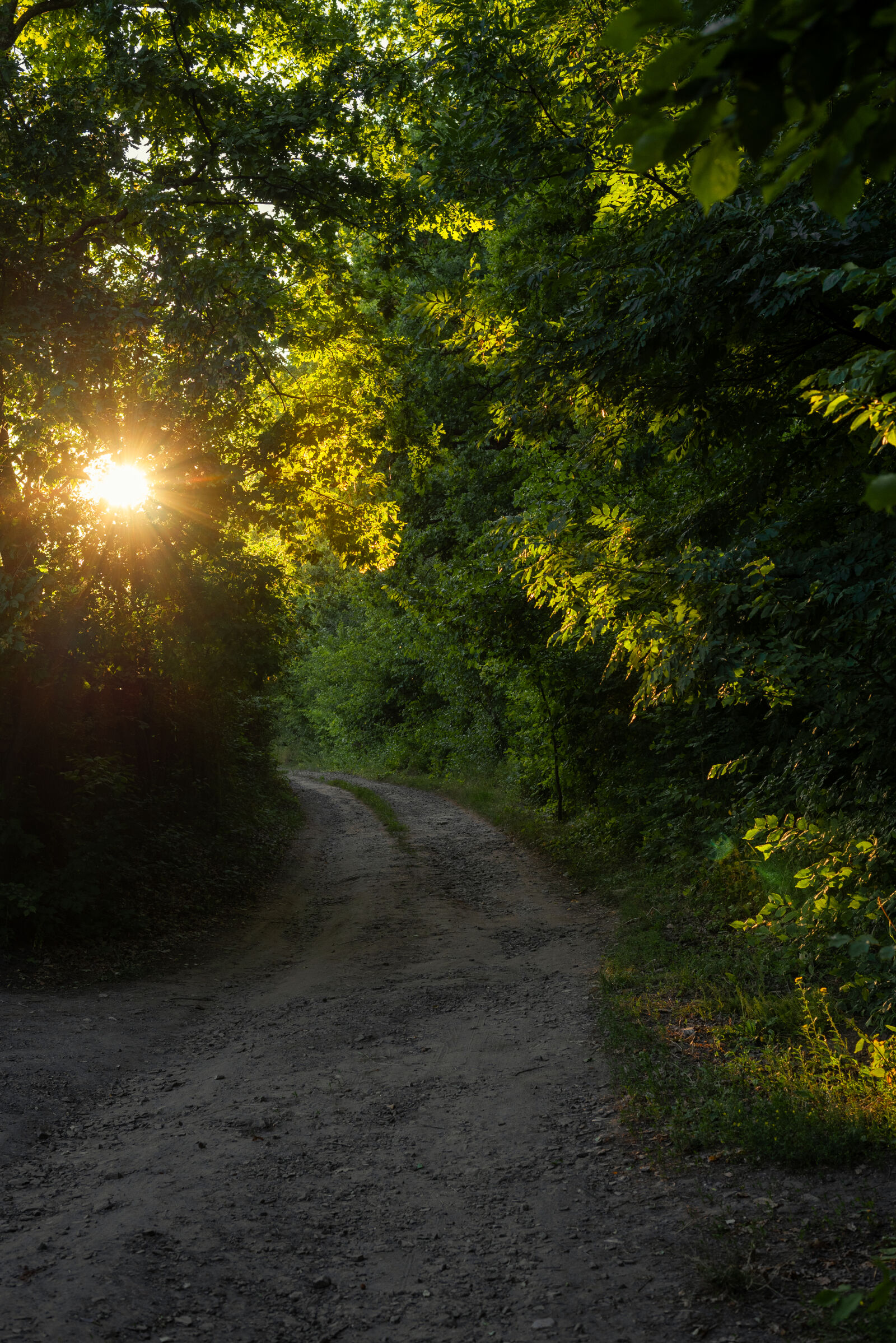 Nikon D750 sample photo