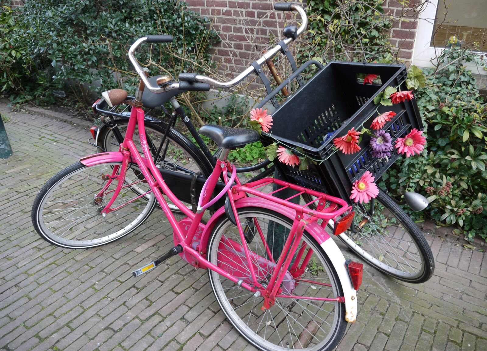 Panasonic Lumix DMC-GF1 sample photo. Bike, dutch, netherlands photography