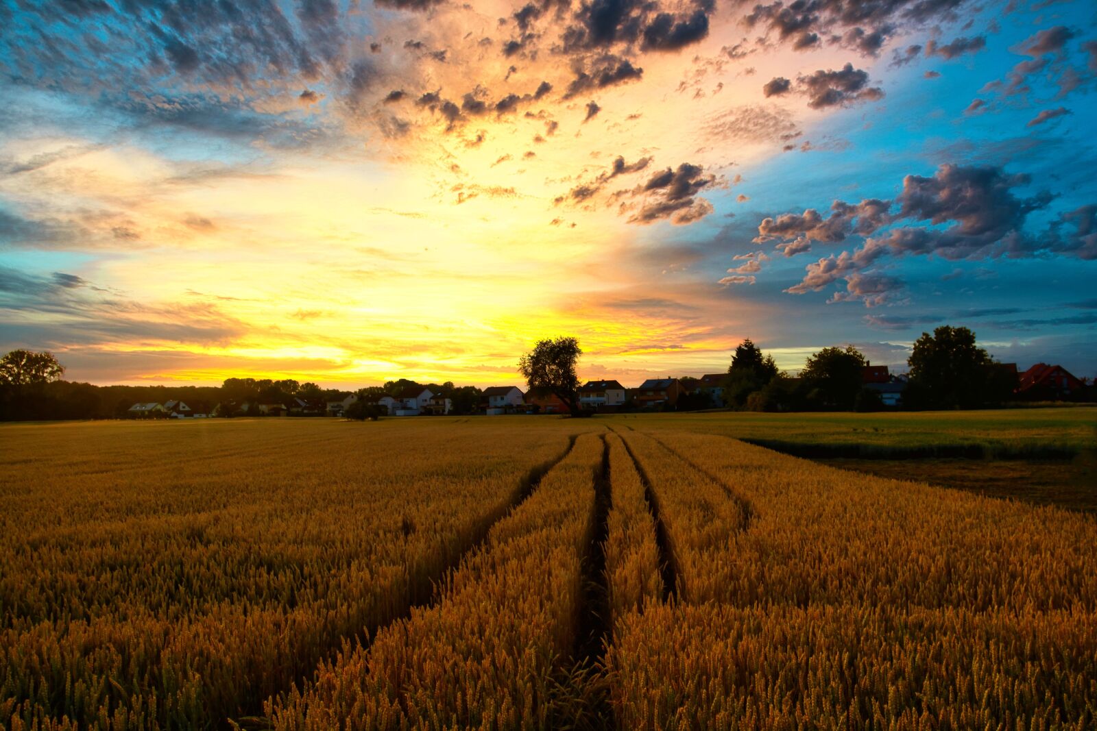 Nikon D7100 sample photo. Hagenbach, in the palatinate photography