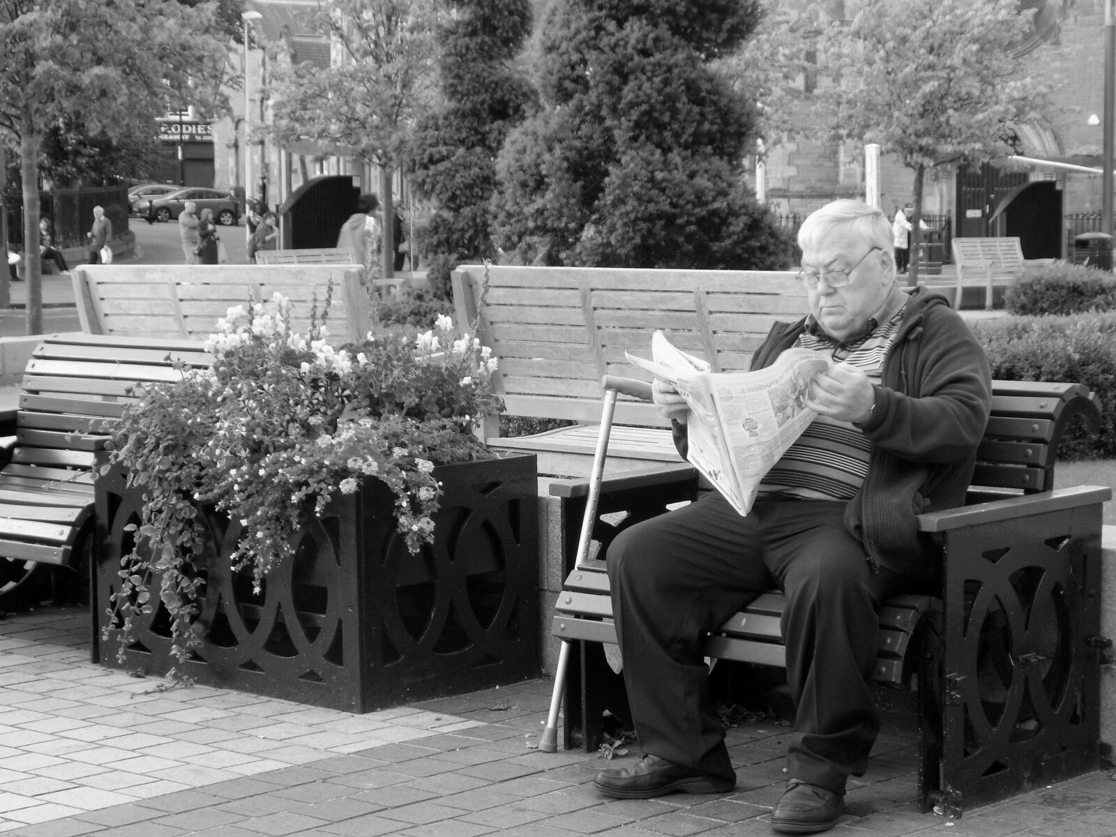 Nikon COOLPIX L340 sample photo. Black white, man reading photography
