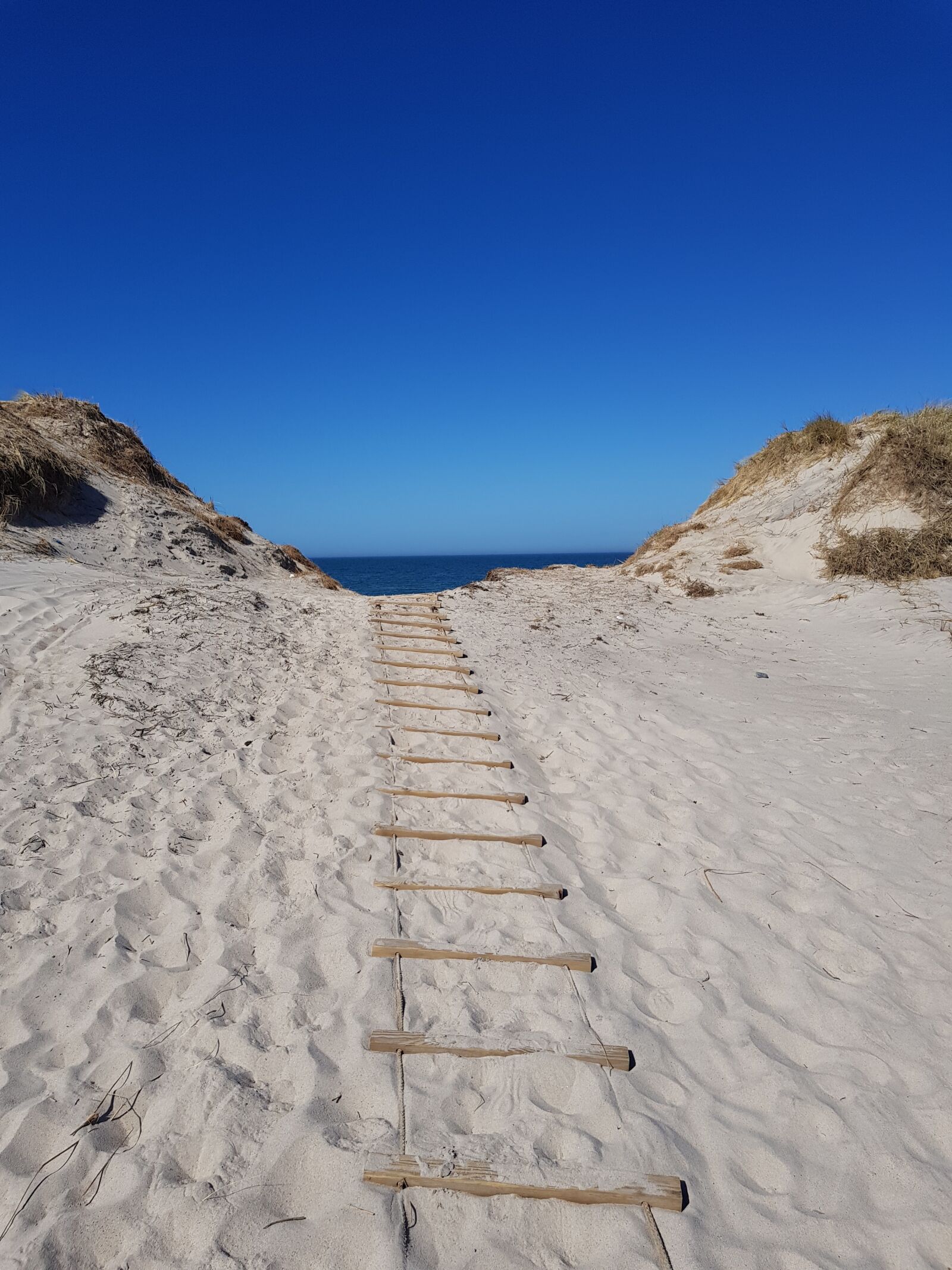 Samsung Galaxy S8 sample photo. Dunes, away, denmark photography