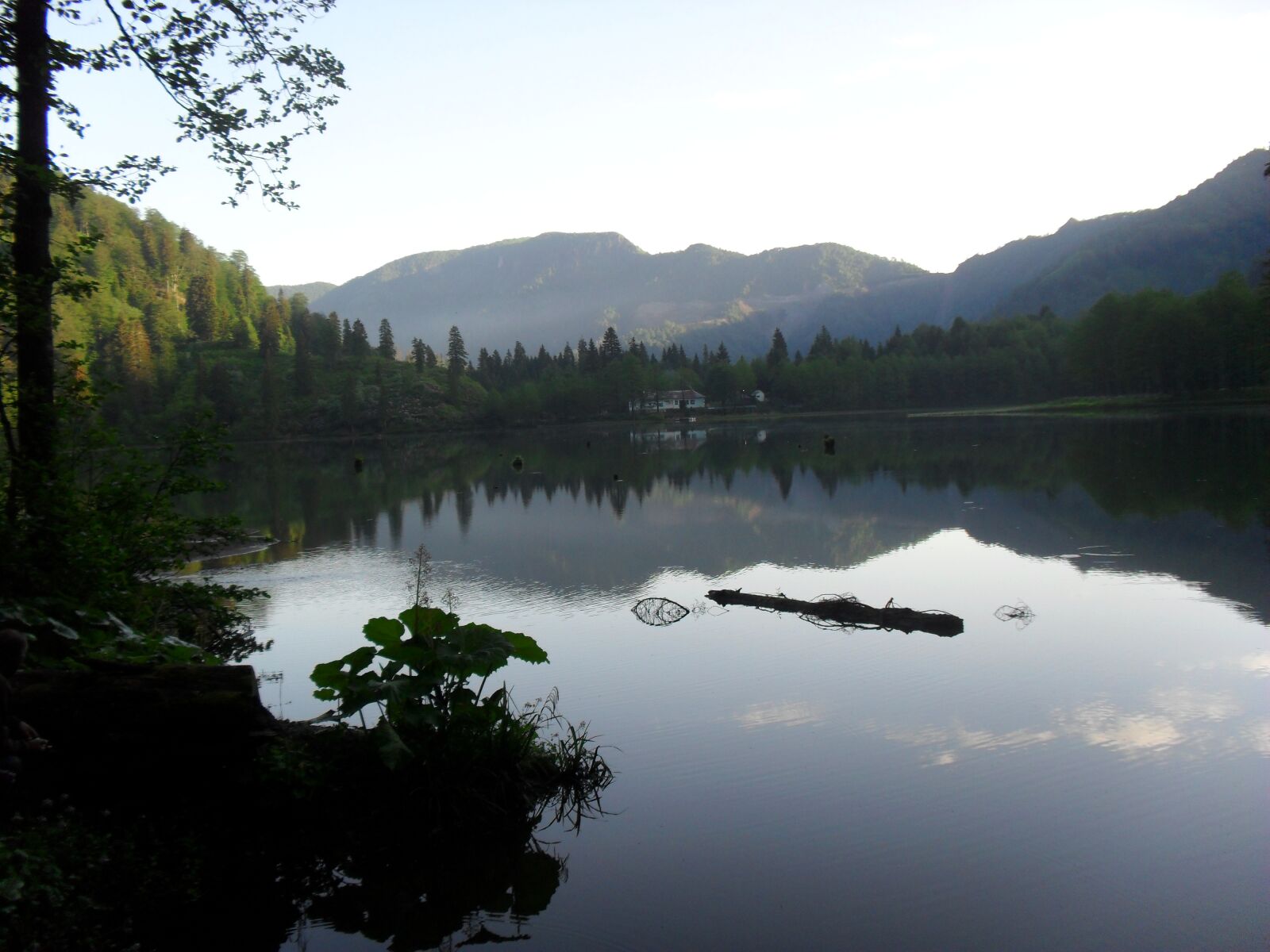 Samsung ES60 / VLUU ES60 /  SL105 /  ES63 sample photo. The black lake, nature photography