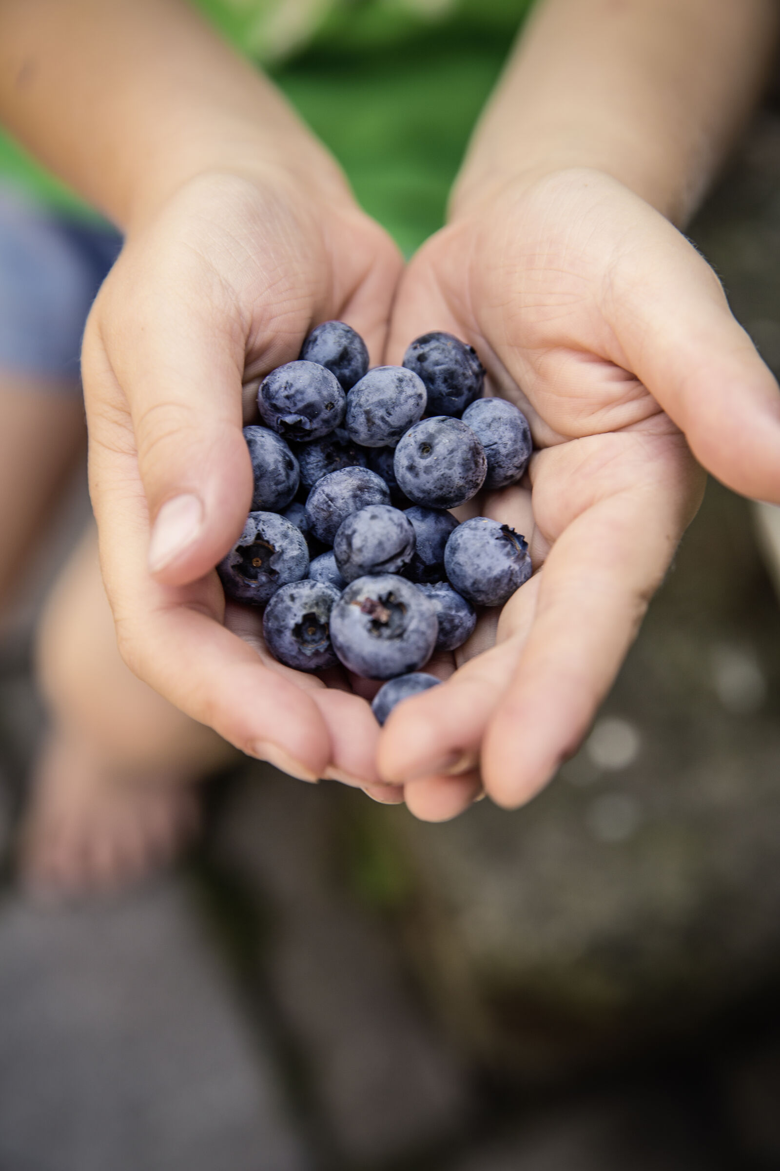 Canon EF 24-70mm F2.8L II USM sample photo. Food, hands, fruits, blueberries photography