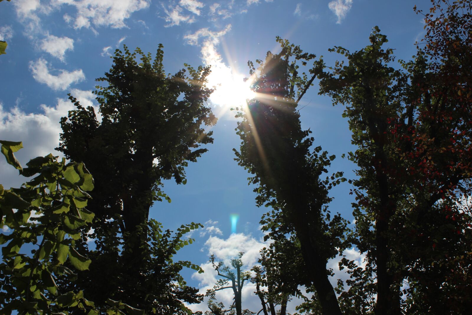 Canon EOS 600D (Rebel EOS T3i / EOS Kiss X5) sample photo. Sun, blue sky, clouds photography