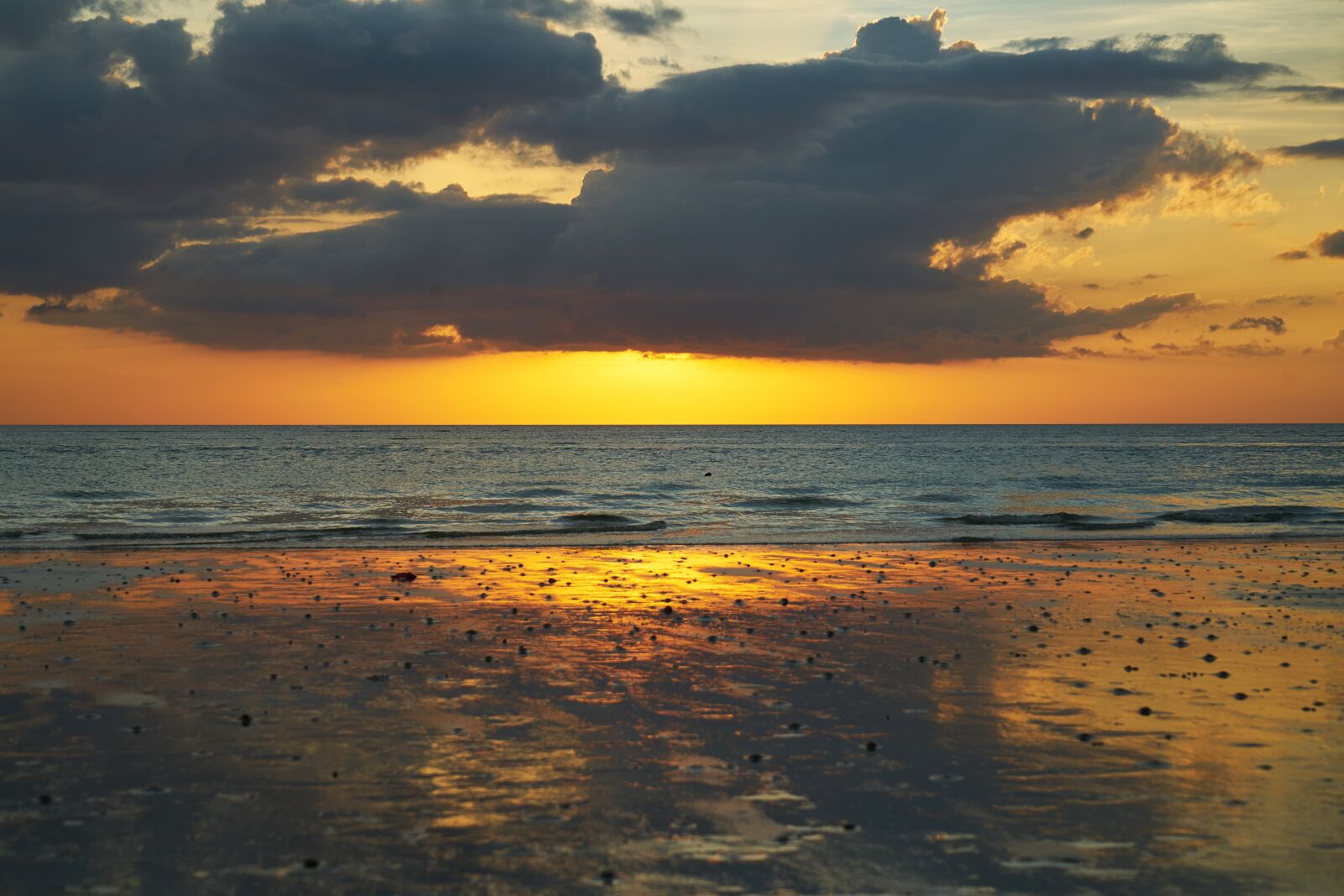 Sony a7R II sample photo. Beach, landscape, background photography