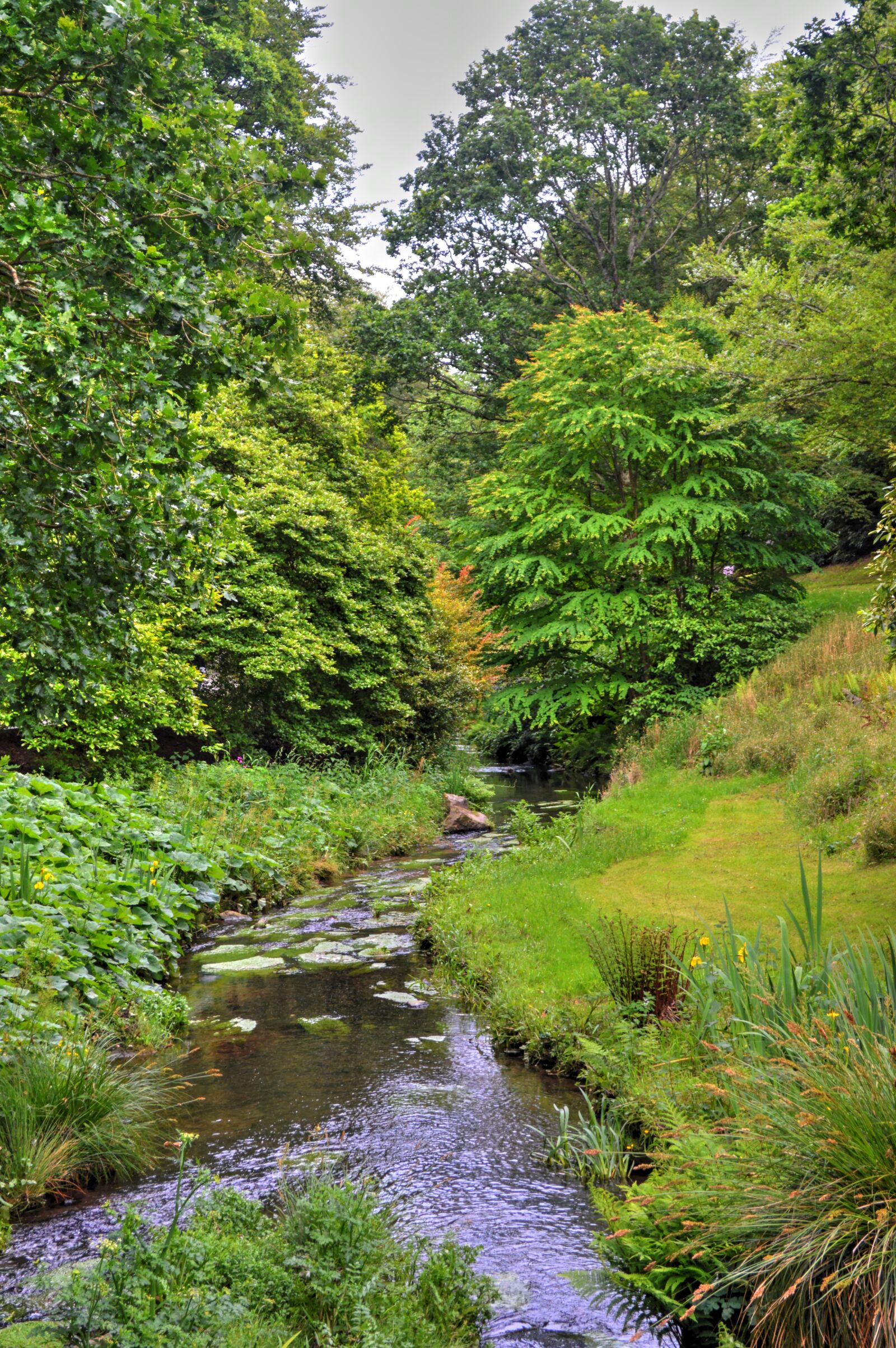 Nikon D3200 sample photo. River, creek, water photography