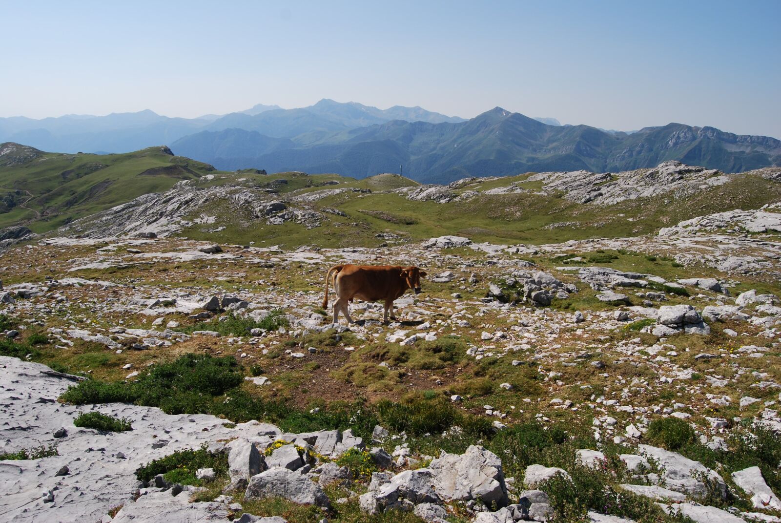 Nikon D40X sample photo. Mountain, picos de europa photography