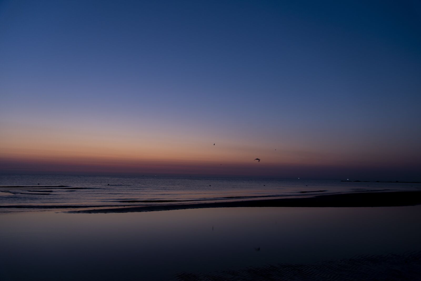 Nikon D750 sample photo. Sunrise, sunset, blue photography