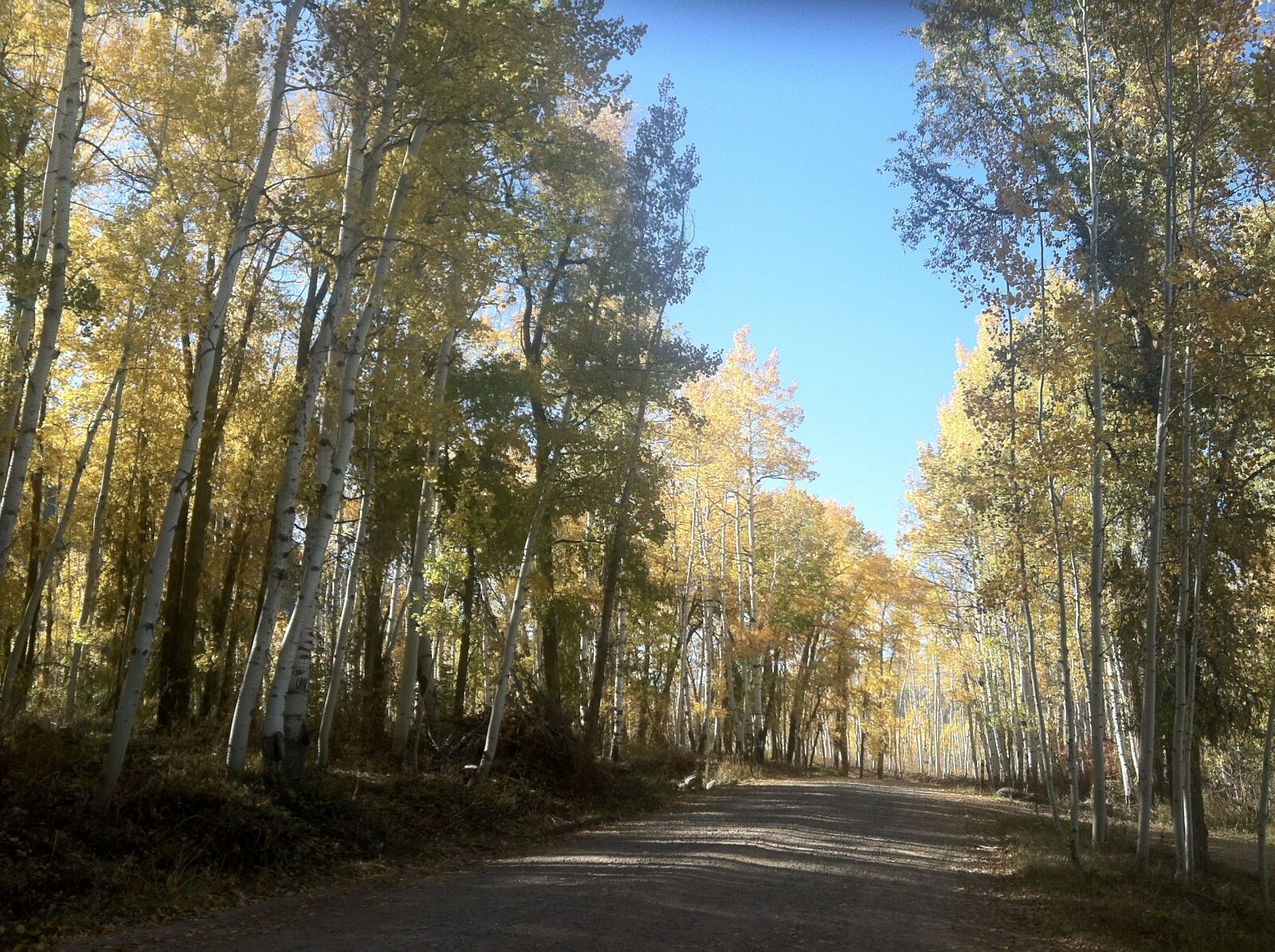 Apple iPhone 4 sample photo. Country, road, rural photography