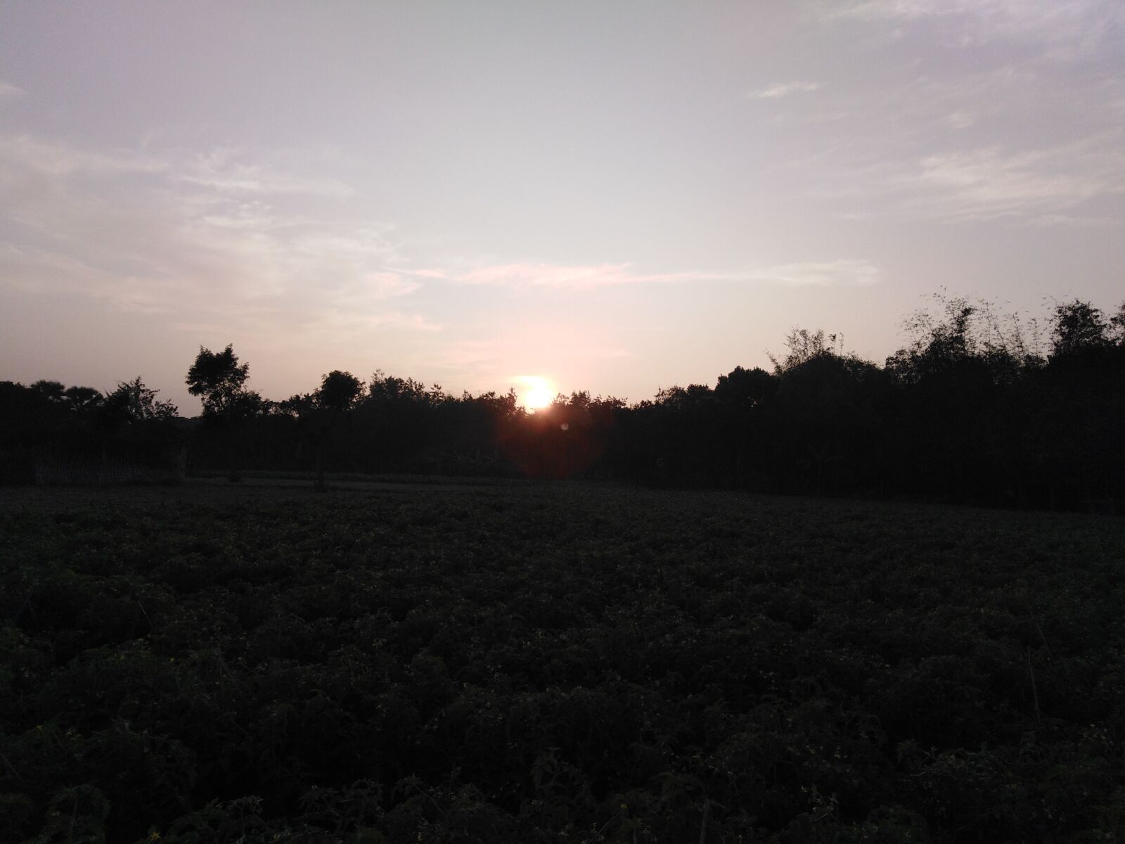 HUAWEI Y6 PRIME 2018 sample photo. And of sun, sunset photography