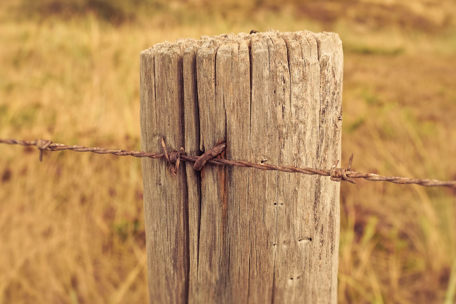 Olympus OM-D E-M10 sample photo. Fence, wood fence, wood photography