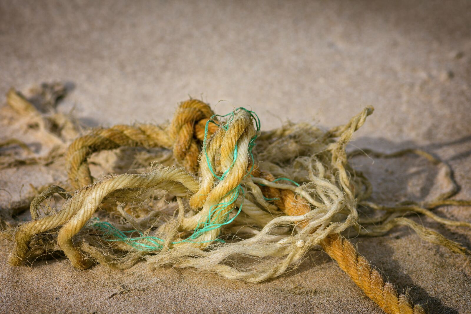 Nikon D7200 sample photo. Knitting, rope, ship rope photography