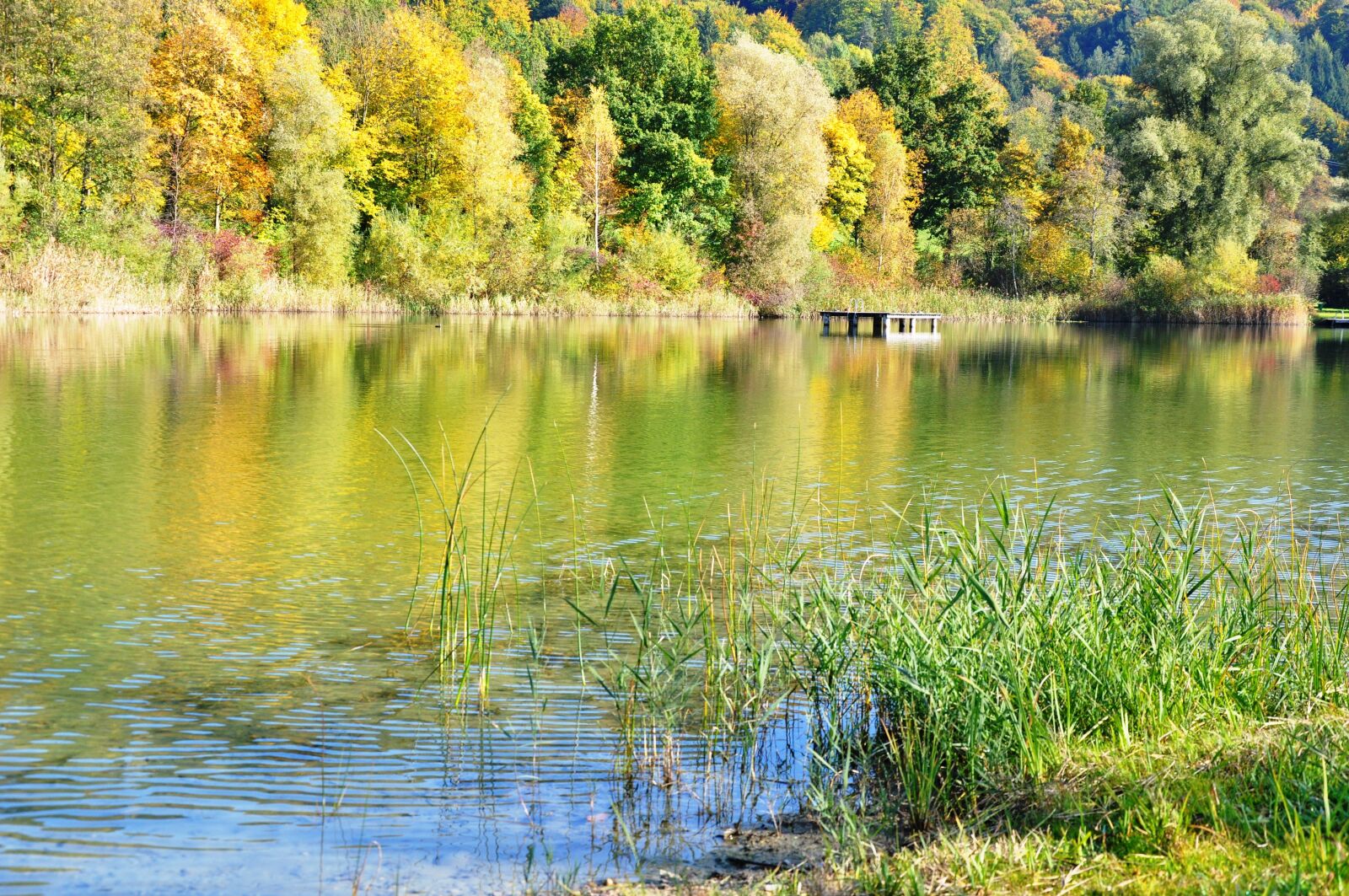 Nikon D90 sample photo. Autumn mood, farbenpracht, lake photography