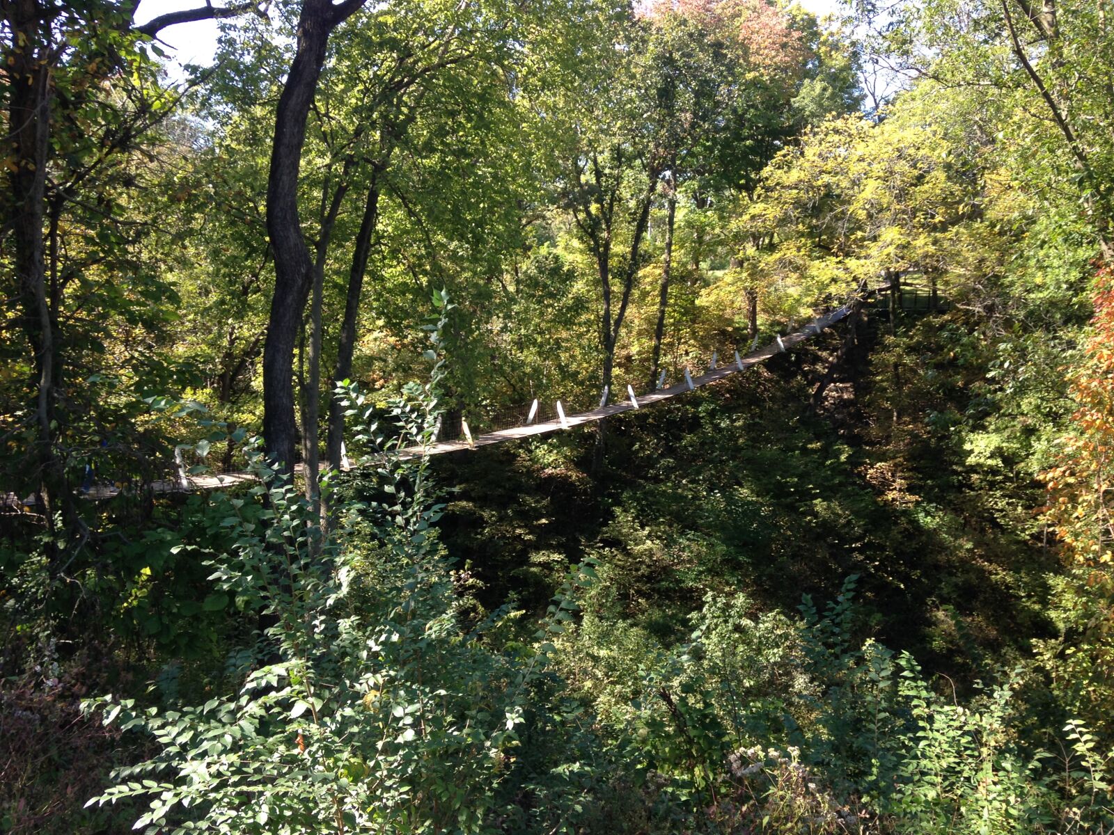 iPhone 5c back camera 4.12mm f/2.4 sample photo. Bridge, country, bridge, iowa photography