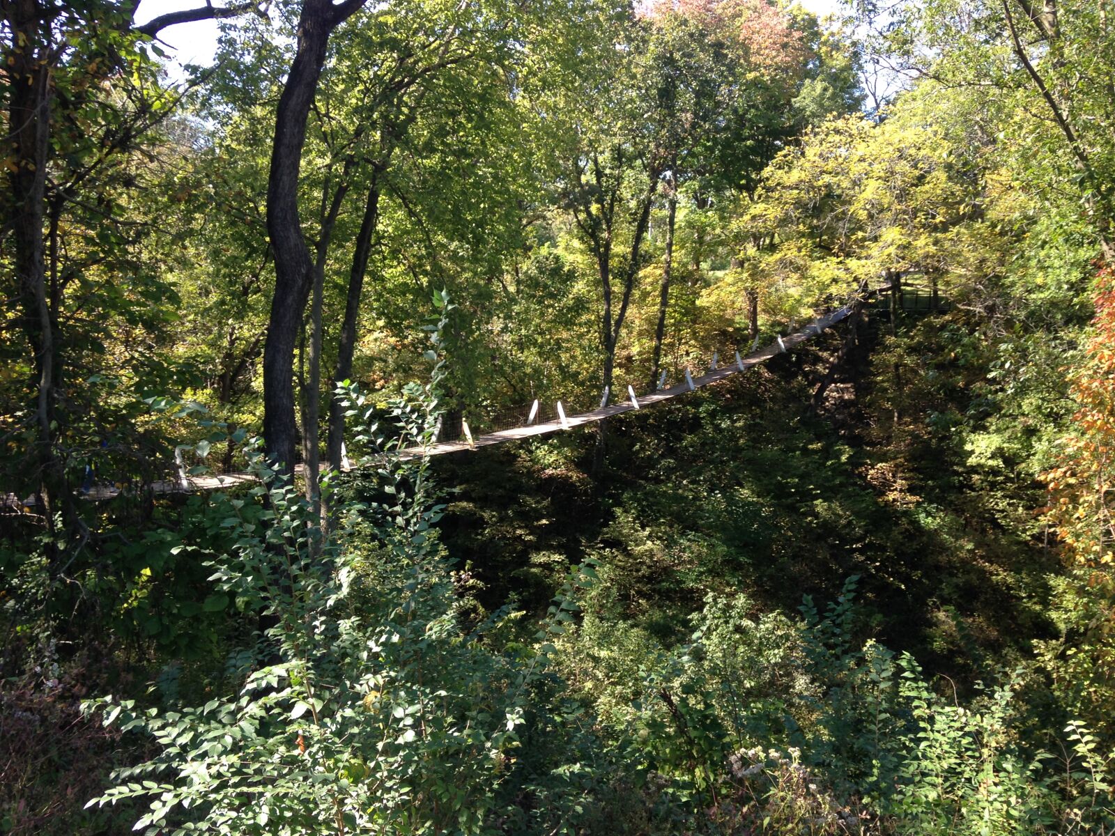 Apple iPhone 5c sample photo. Bridge, country, bridge, iowa photography