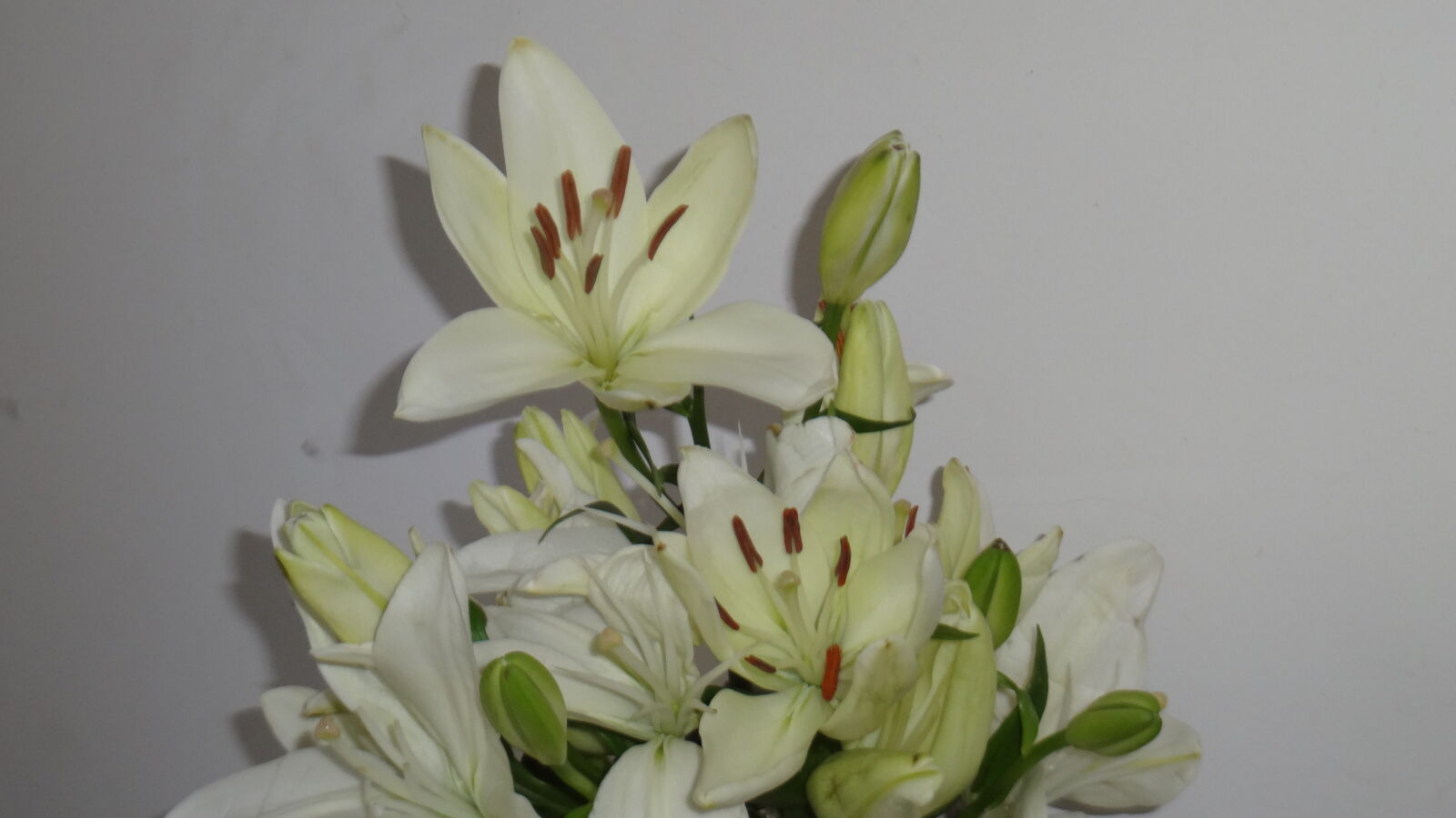 Sony Cyber-shot DSC-WX50 sample photo