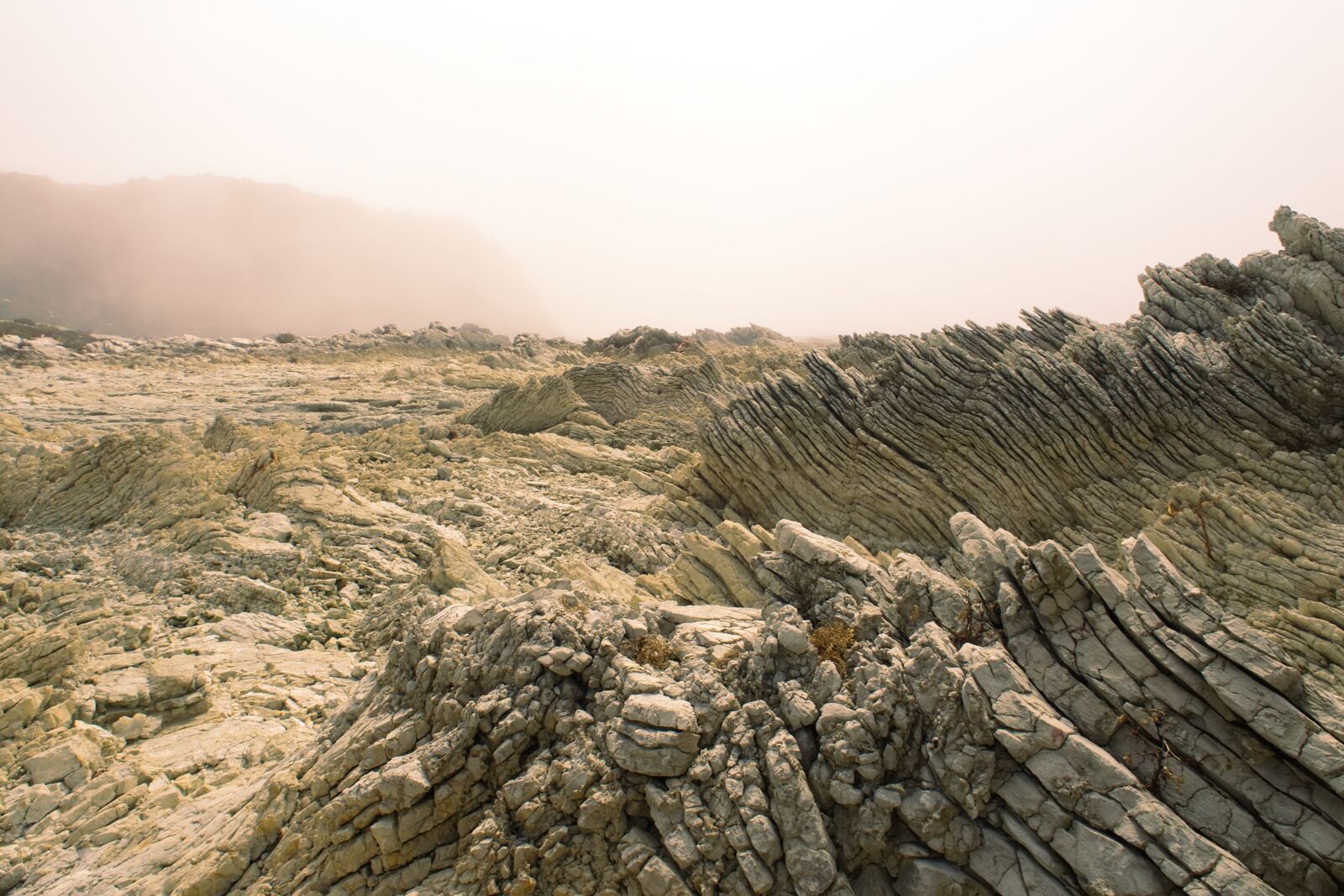 Olympus OM-D E-M10 II sample photo. Rocks, mist, yellow photography