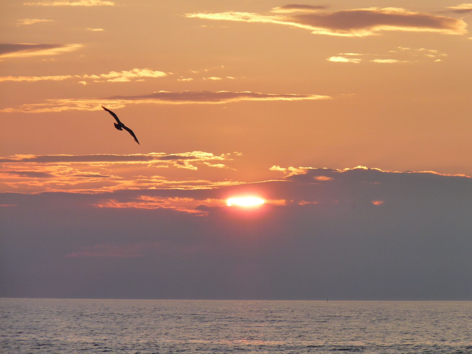 Panasonic Lumix DMC-FZ28 sample photo. Baltic sea, poland, ko photography