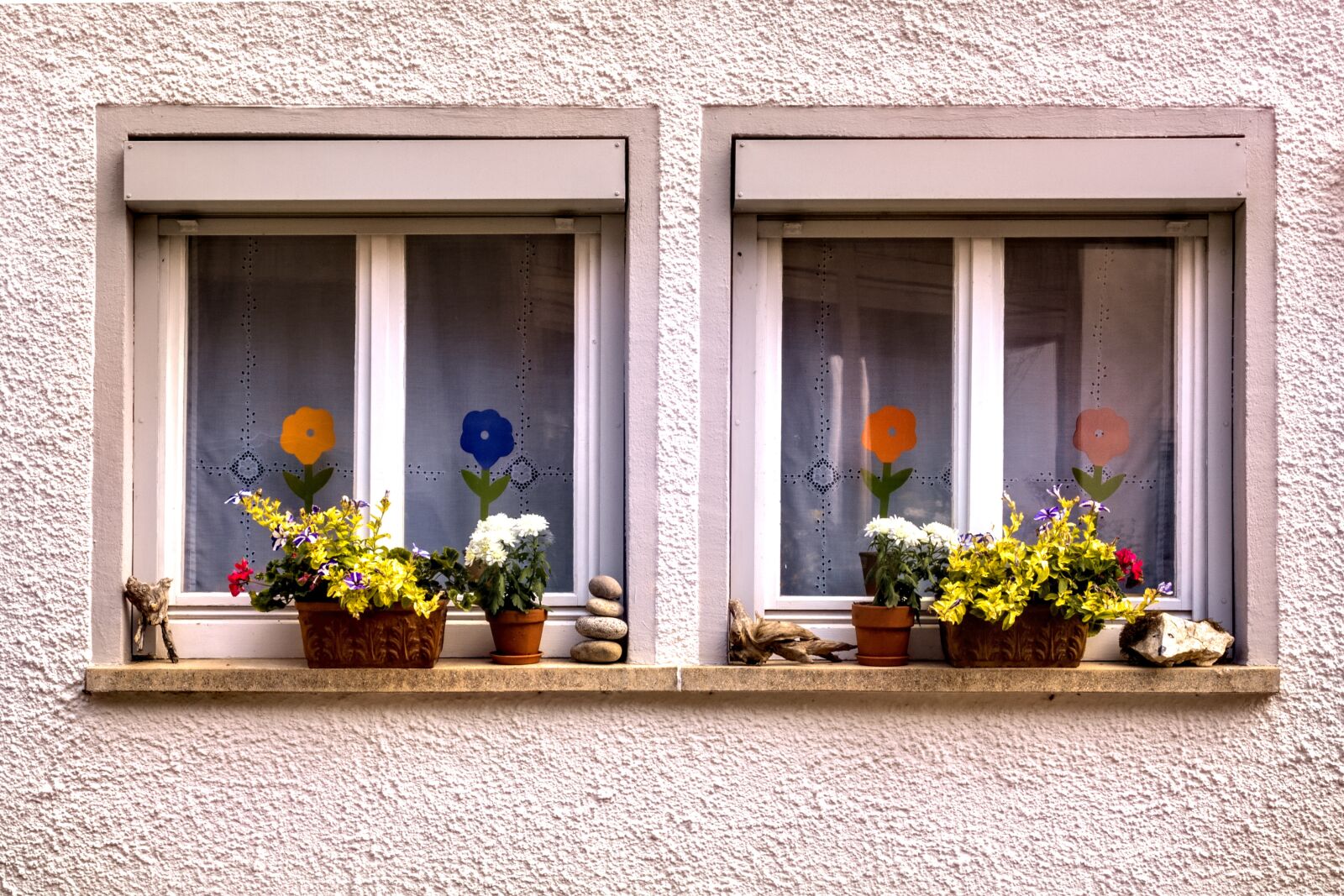 Nikon D7100 sample photo. Window, flower box, city photography