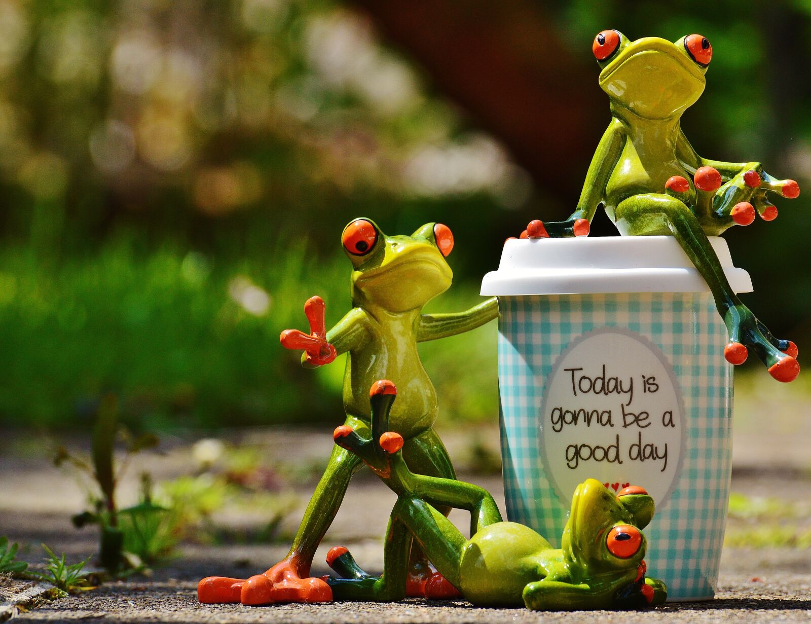 Nikon D3200 sample photo. Beautiful day, joy, frog photography