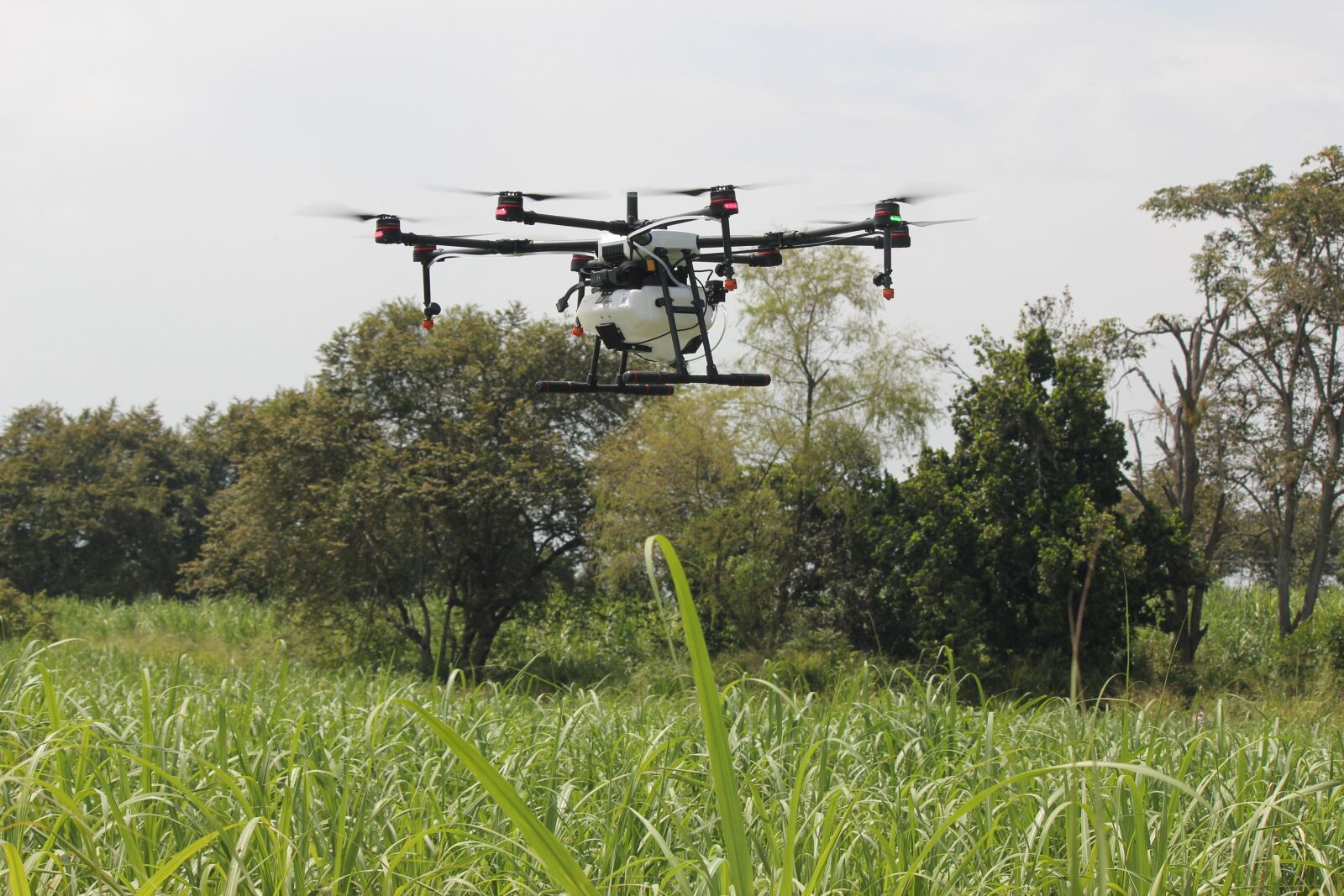 Canon EOS 550D (EOS Rebel T2i / EOS Kiss X4) sample photo. Drone, fumigation, agriculture photography