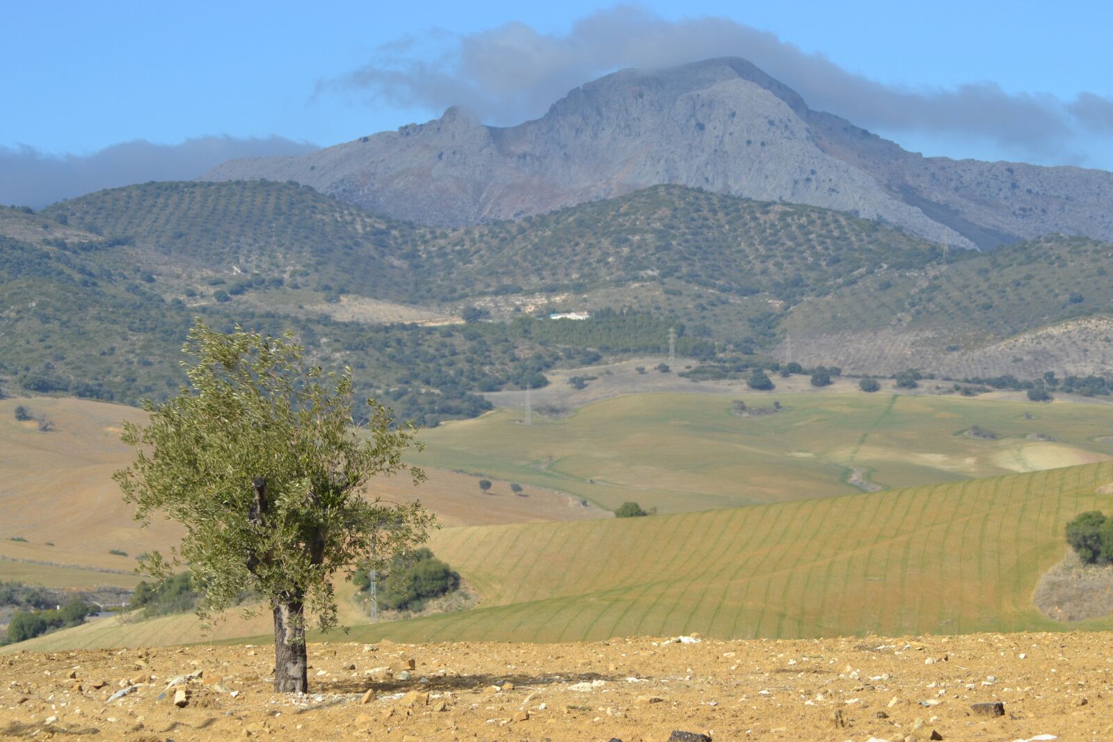 Nikon D3100 sample photo. Mountain, spain, tree photography