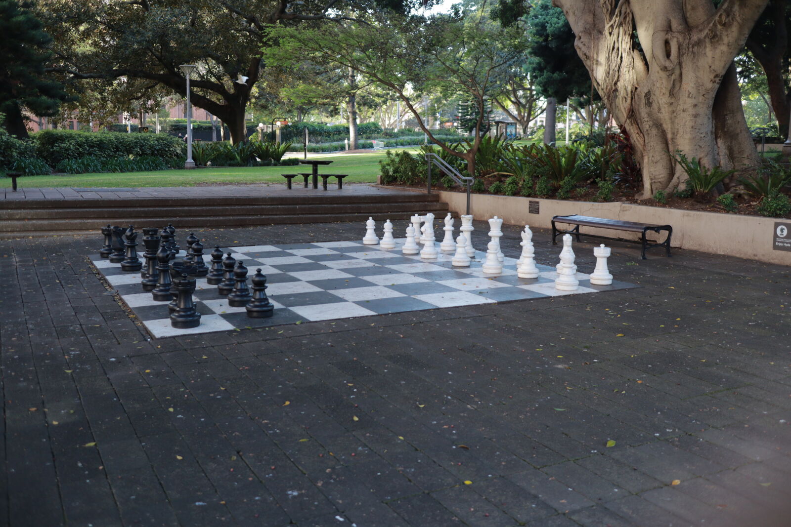 Canon EOS M50 (EOS Kiss M) sample photo. Hide chess photography