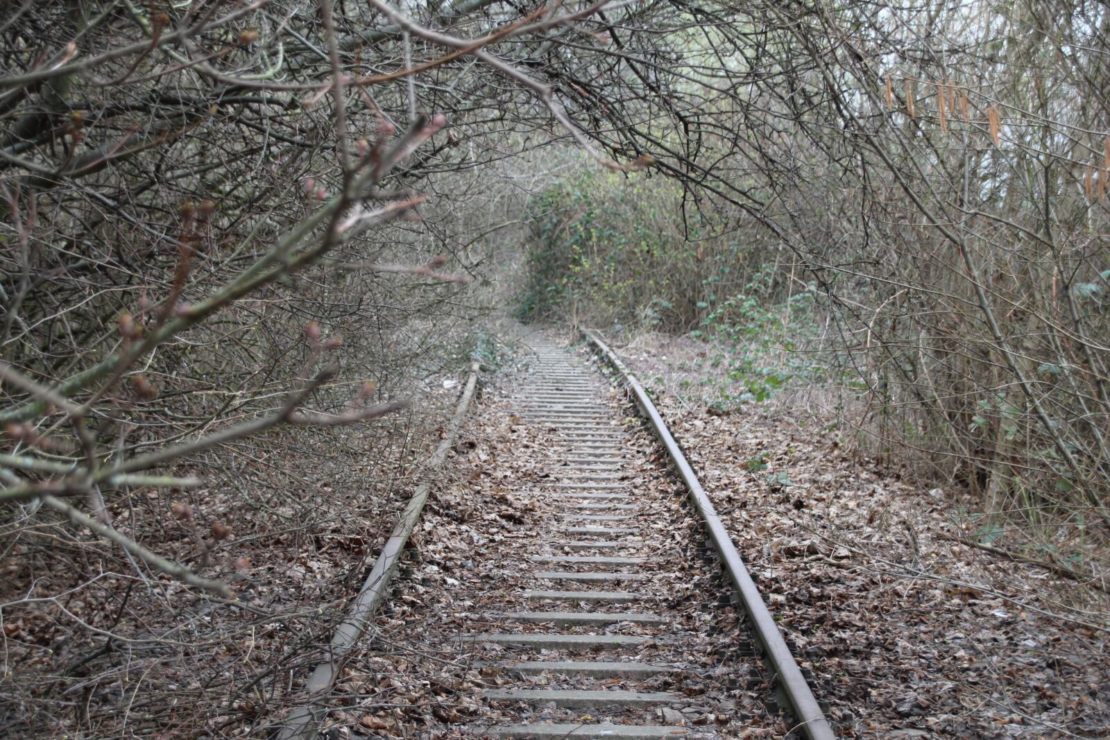 Canon EOS 1300D (EOS Rebel T6 / EOS Kiss X80) sample photo. Track, rail, old photography