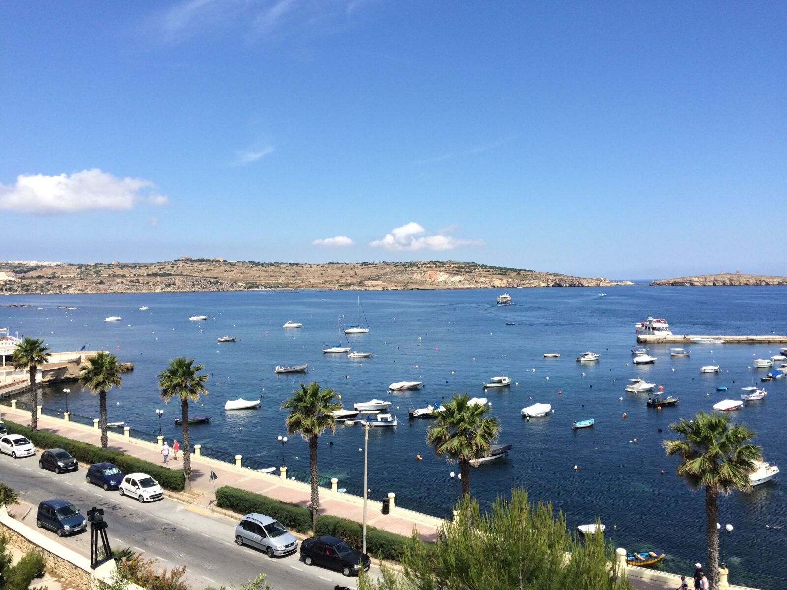 iPhone 5s back camera 4.15mm f/2.2 sample photo. Malta, sea, palm trees photography