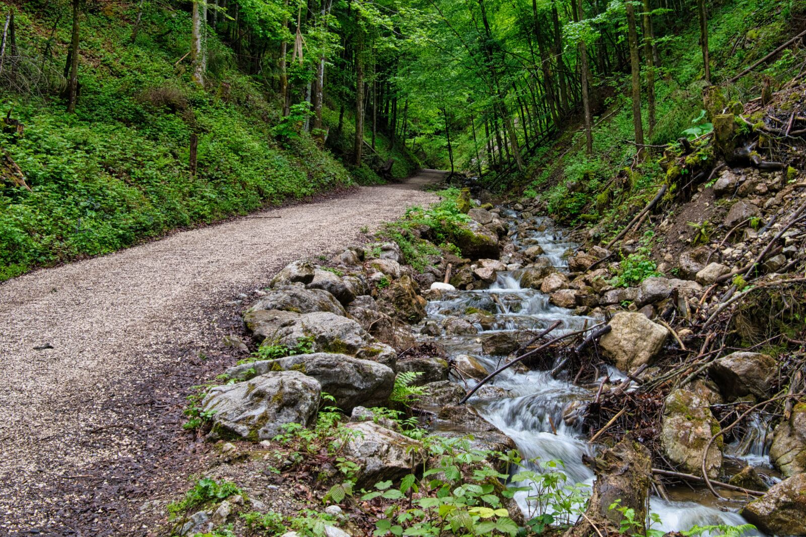 Nikon D7500 sample photo. Away, forest path, torrent photography