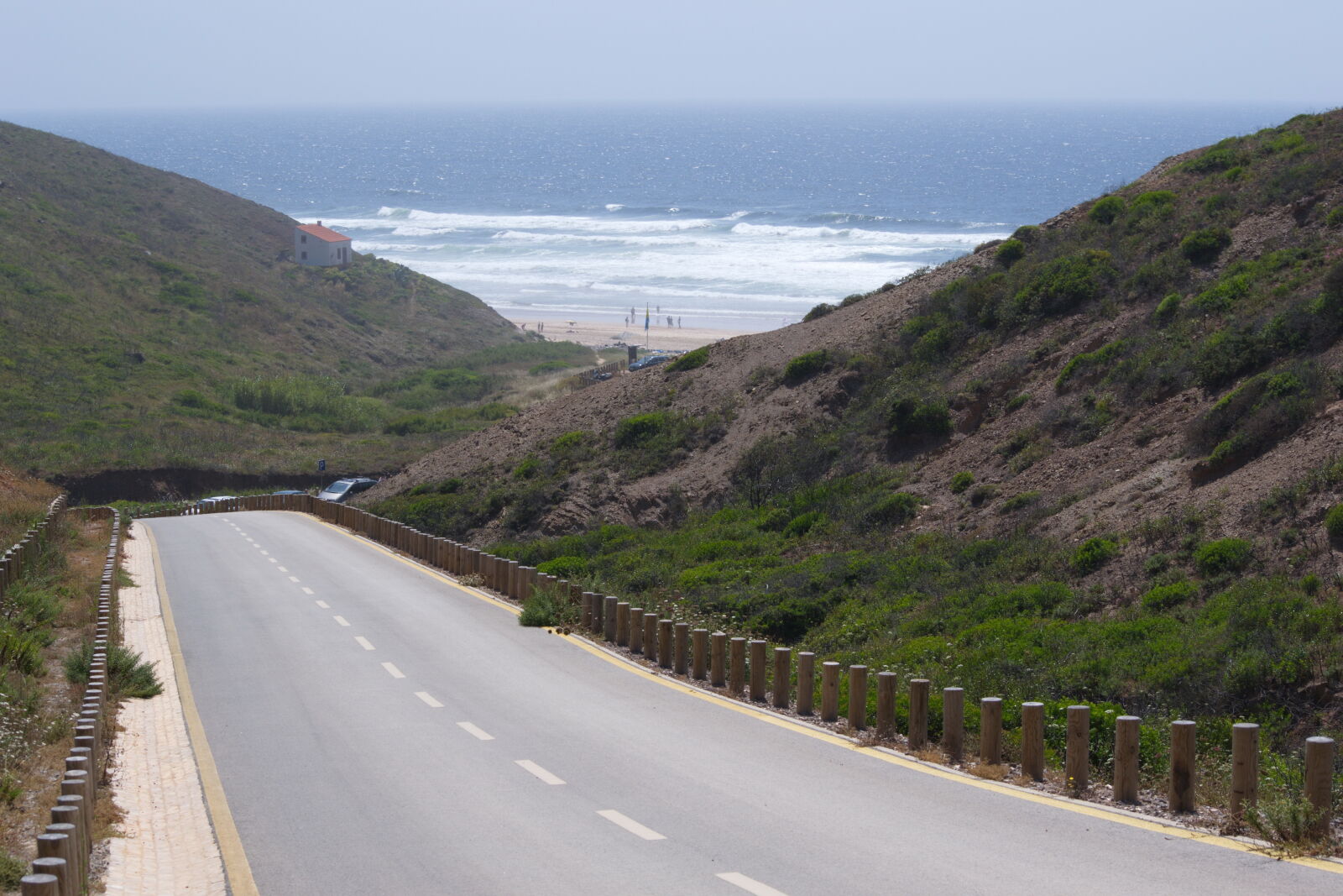 Nikon D3100 sample photo