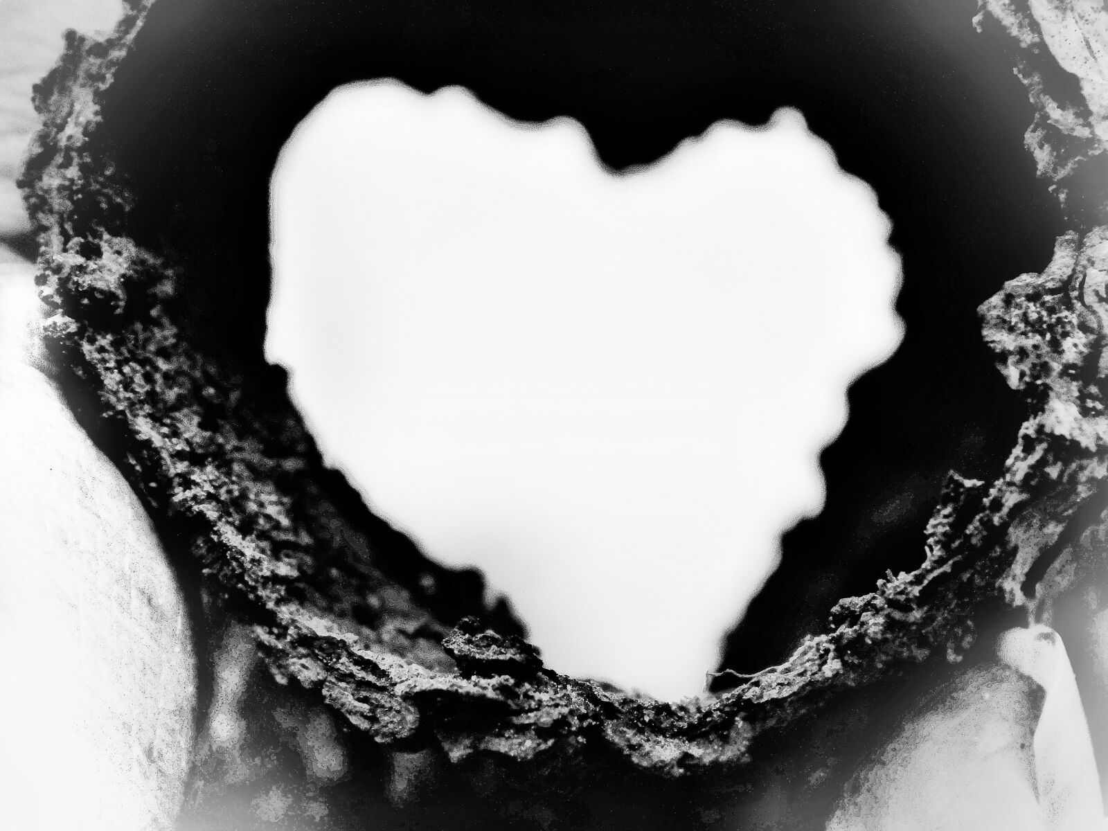 Nikon Coolpix L840 sample photo. Love, wood, symbol photography