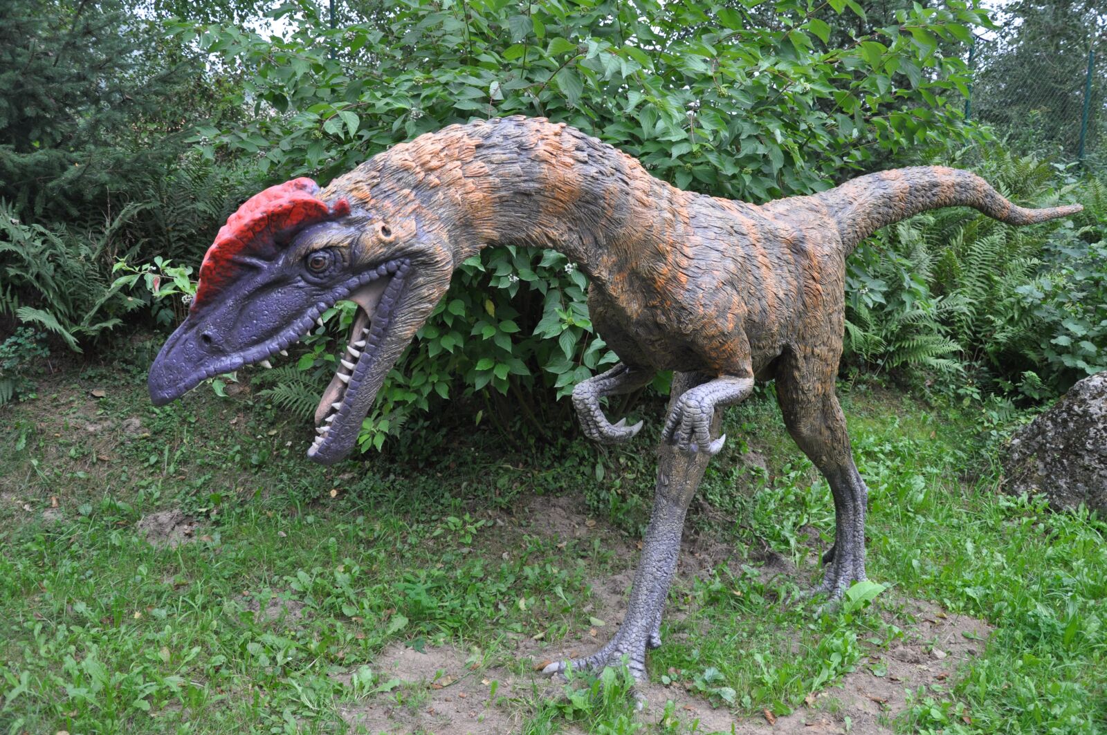 Nikon D5000 sample photo. Balts, mockup, dinosaur photography