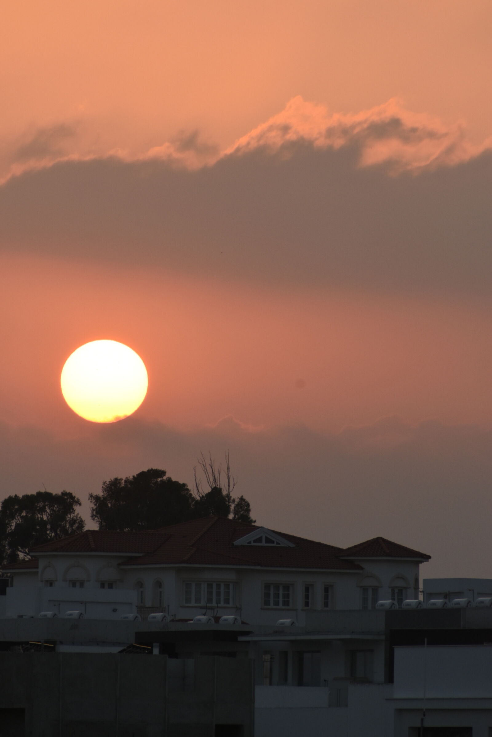 Nikon D5600 sample photo