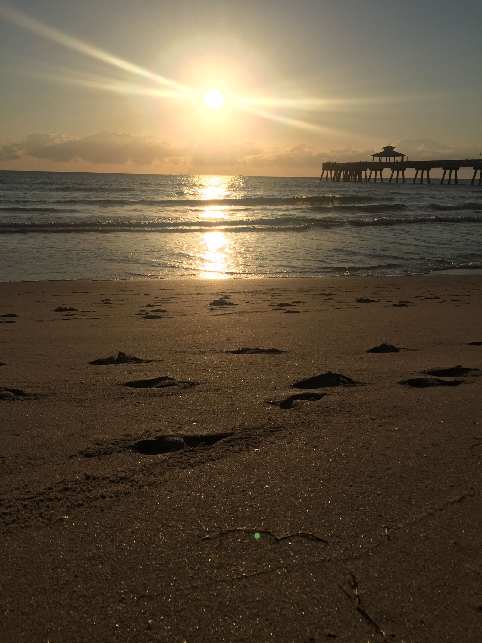 Apple iPhone 6 sample photo
