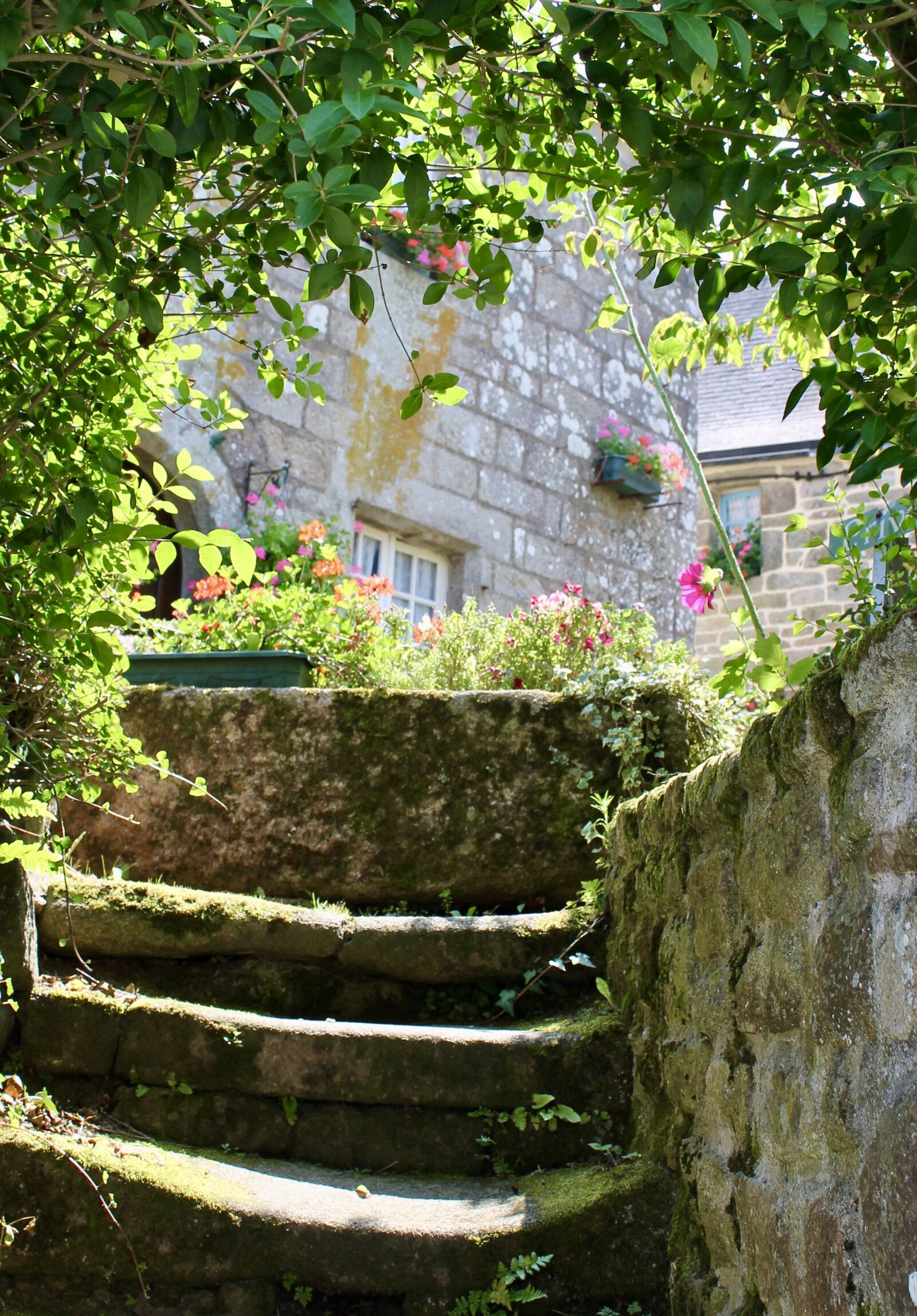 Canon EOS 1100D (EOS Rebel T3 / EOS Kiss X50) sample photo. Garden, architecture, staircase photography