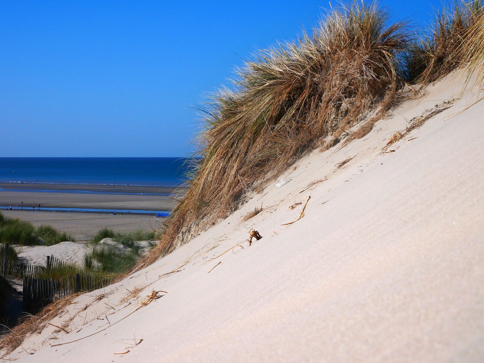 Panasonic Lumix DMC-GX85 (Lumix DMC-GX80 / Lumix DMC-GX7 Mark II) sample photo. Beach, north sea, gliding photography