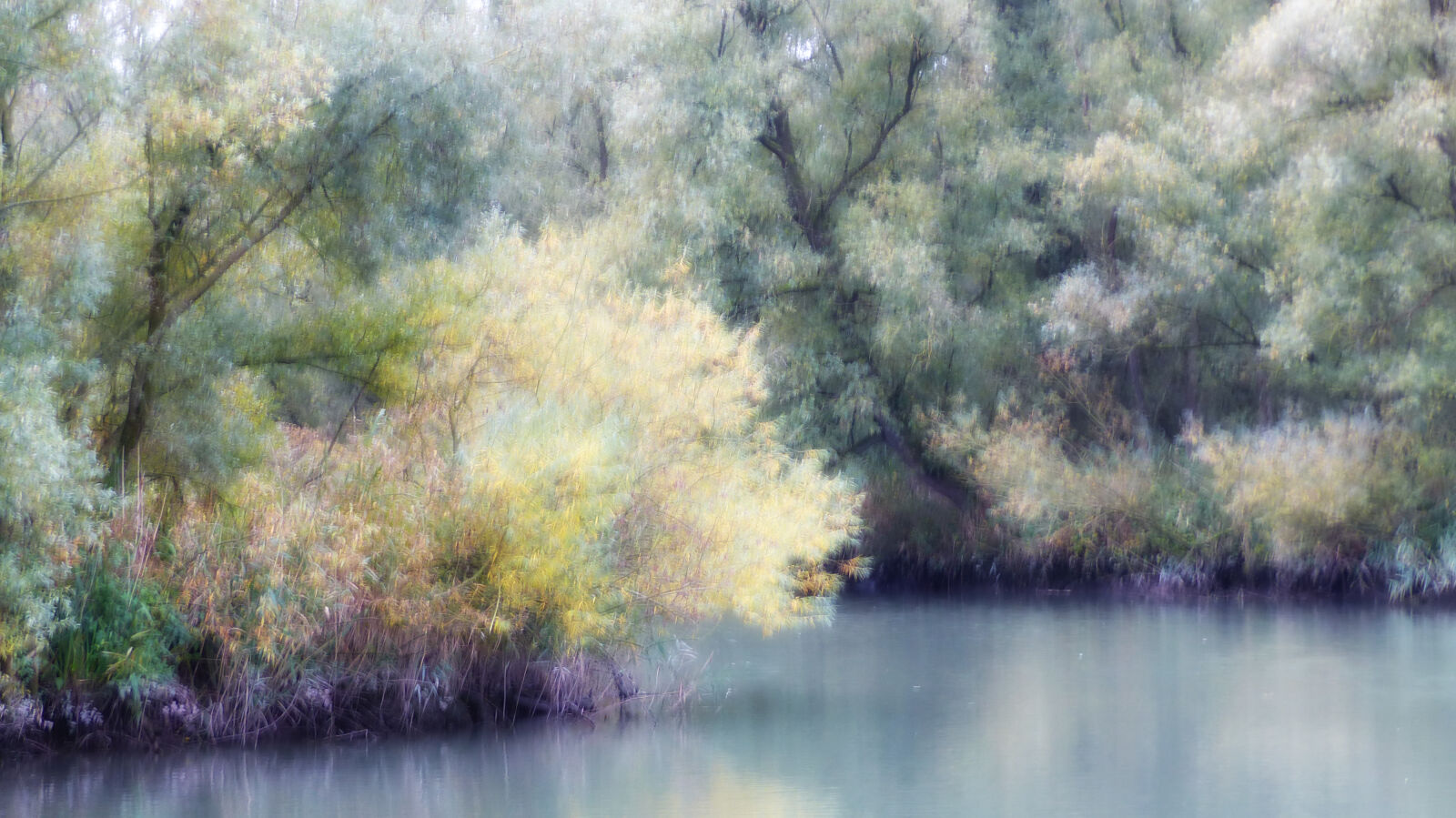 Panasonic Lumix DMC-FZ200 sample photo. Biesbosch, nature photography