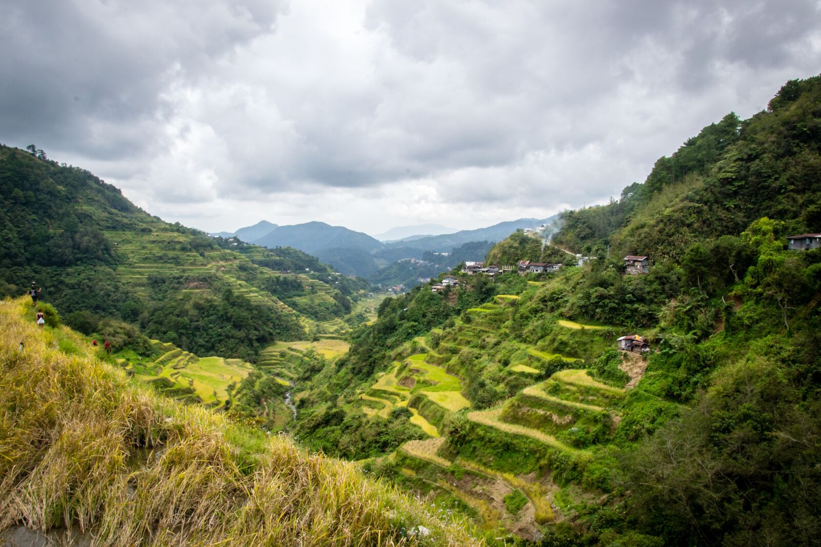 Nikon D3100 sample photo. Philippines, rice terraces, banaue photography