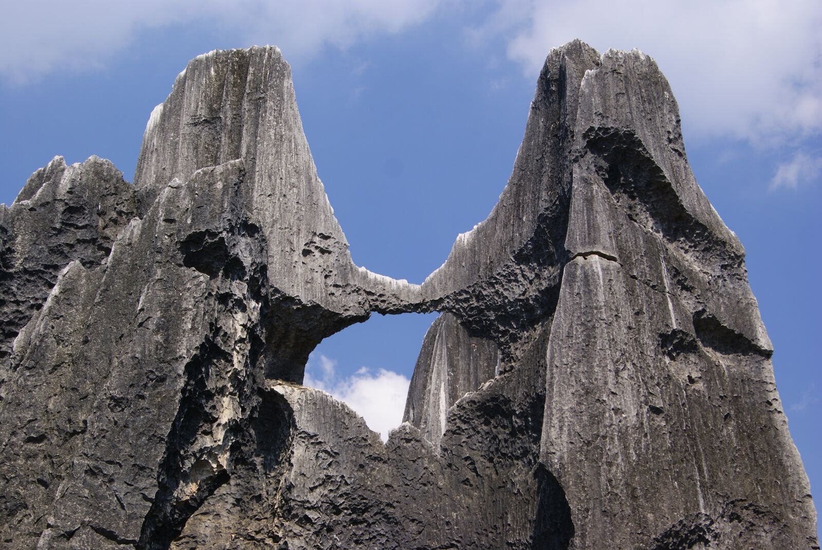 Sony Alpha DSLR-A230 sample photo. Stone forest, rock, shilin photography