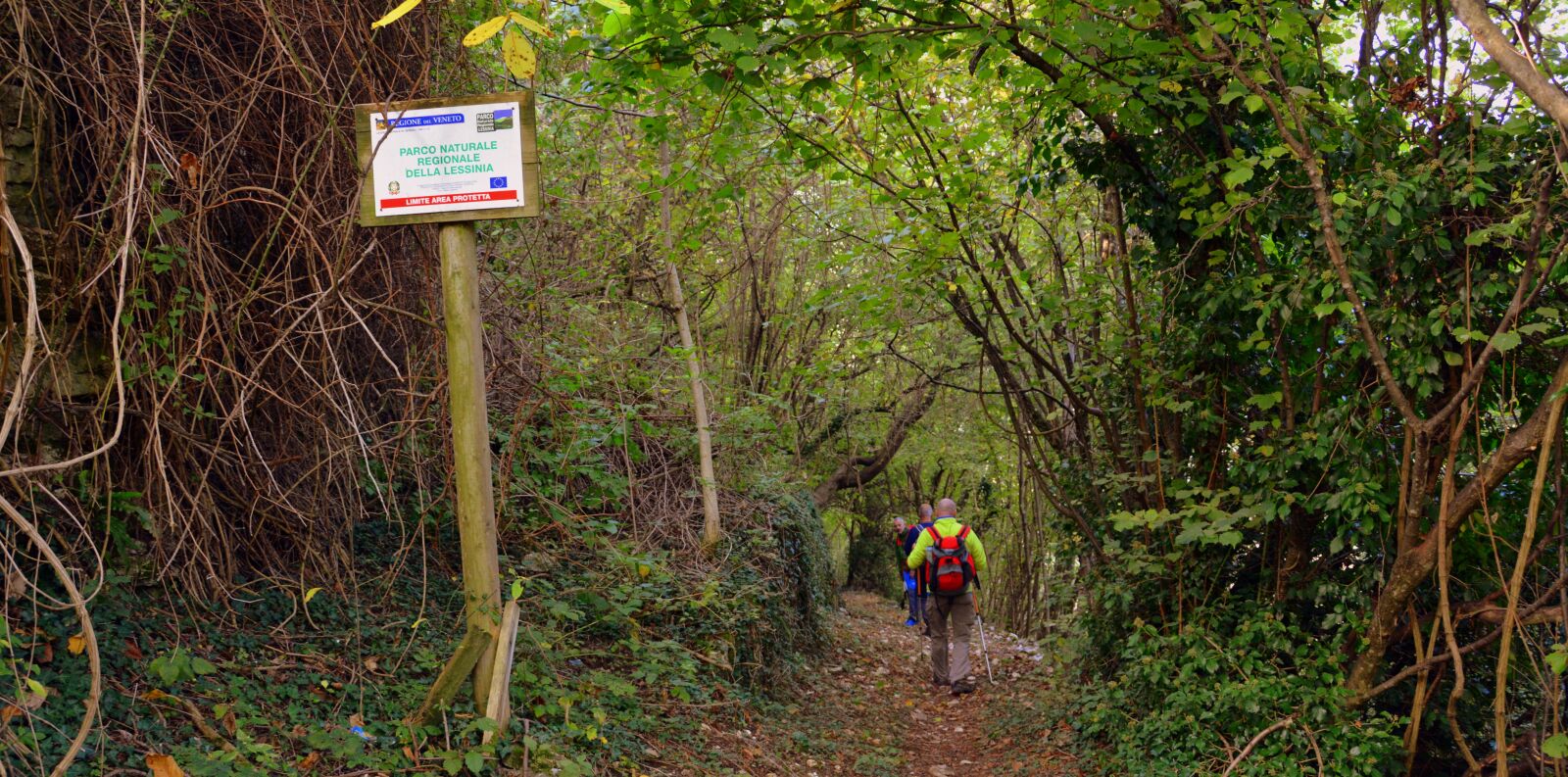 Nikon D7100 sample photo. The european path, e5 photography
