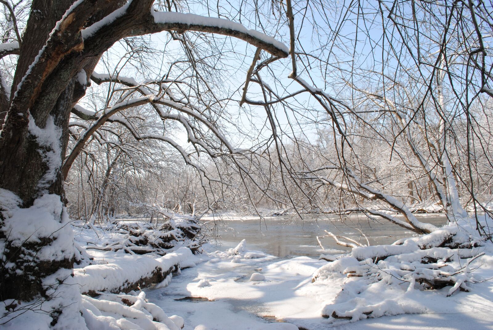 Nikon D3000 sample photo. Snow, trail, winter photography