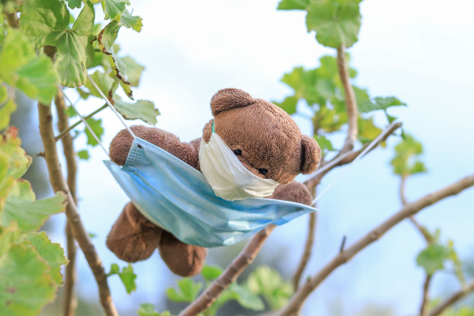 Canon EOS 80D sample photo. Bear, mask, hammock photography