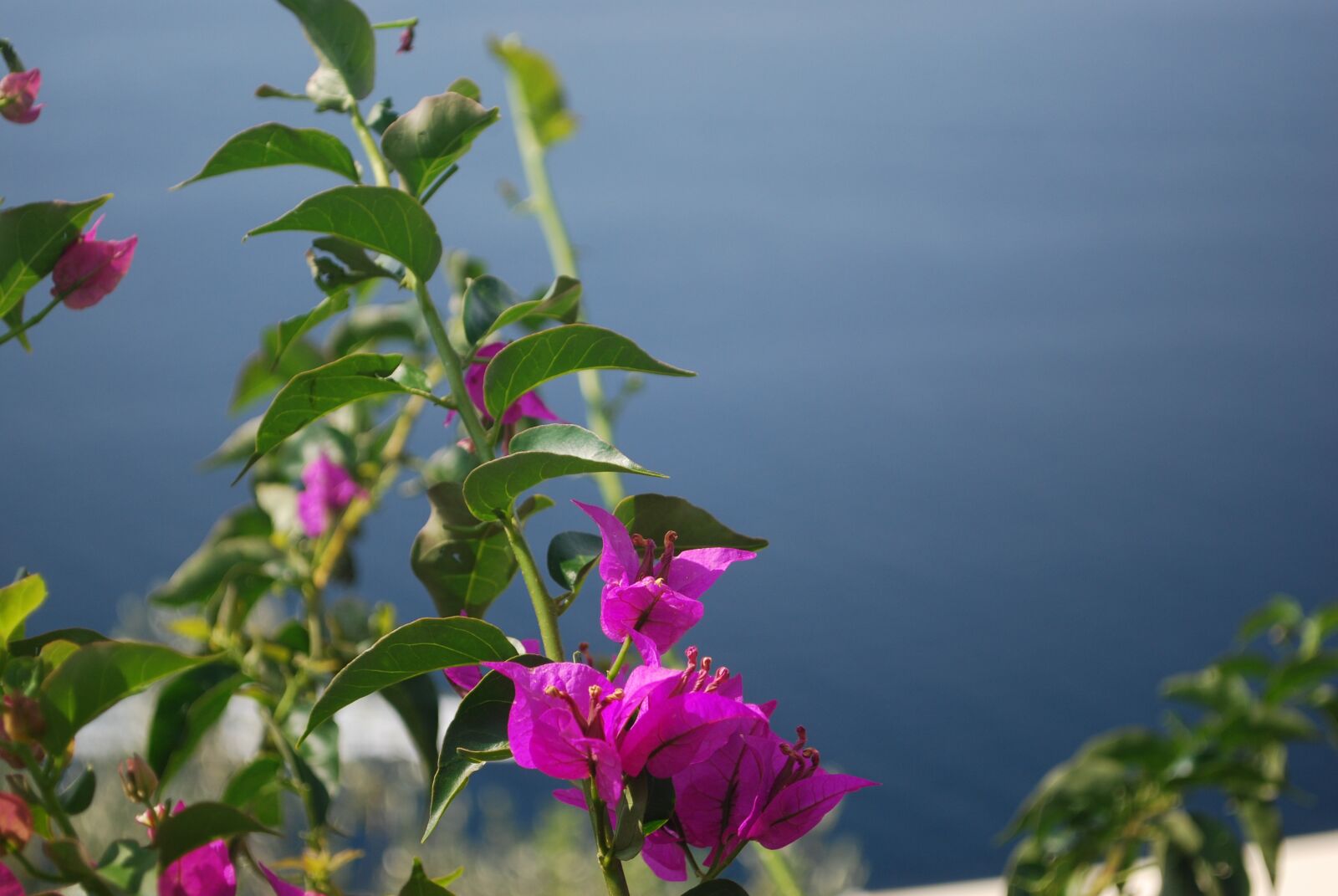 Nikon D60 sample photo. Positano, mediterranean sea, amalfi photography