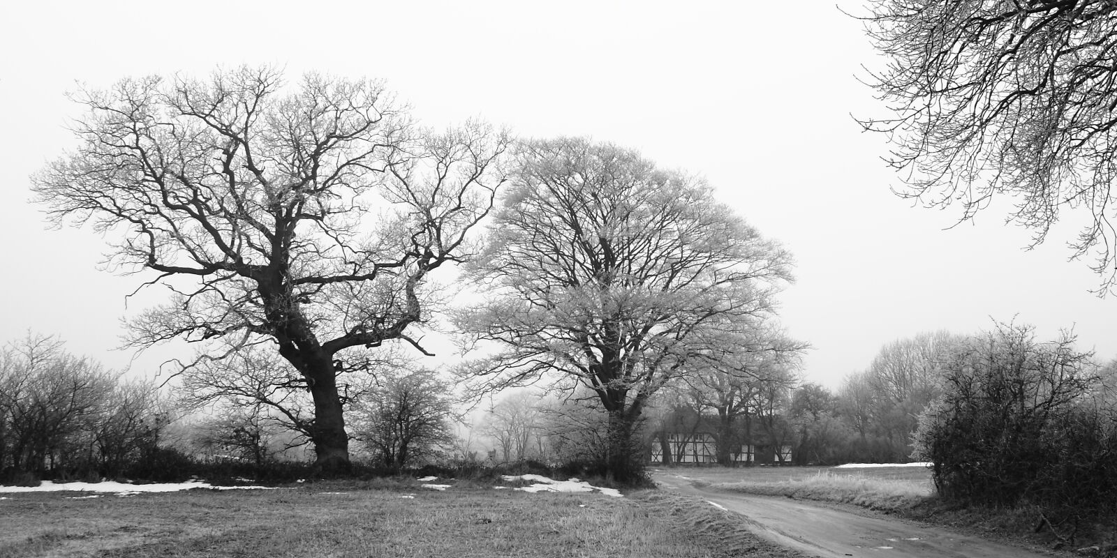 Canon EOS 400D (EOS Digital Rebel XTi / EOS Kiss Digital X) sample photo. Wood, winter, fog photography