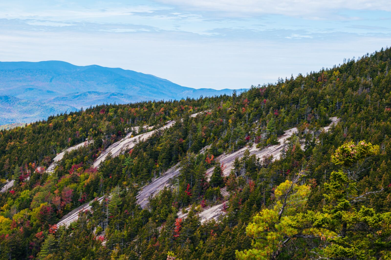 Nikon D5600 sample photo. Mountain, fall, autumn photography