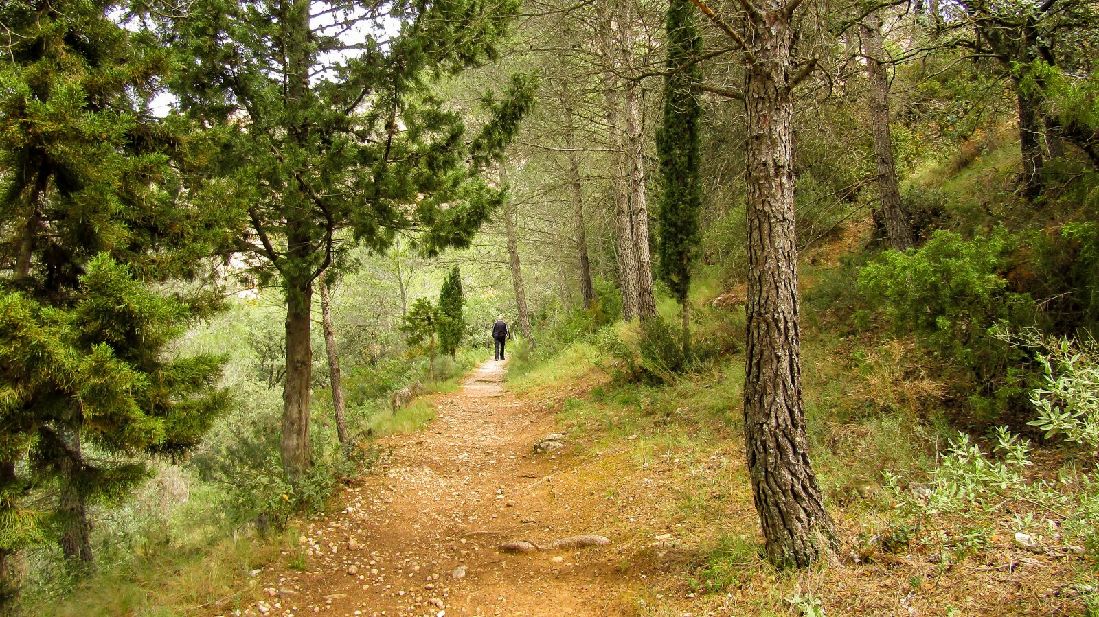 Canon PowerShot SX410 IS sample photo. Horta de sant joan photography