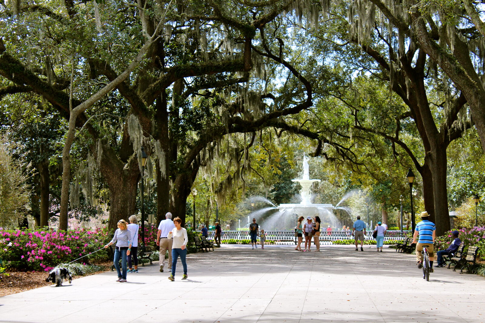 Canon EOS 1200D (EOS Rebel T5 / EOS Kiss X70 / EOS Hi) sample photo. Georgia, park, savannah, tourist photography