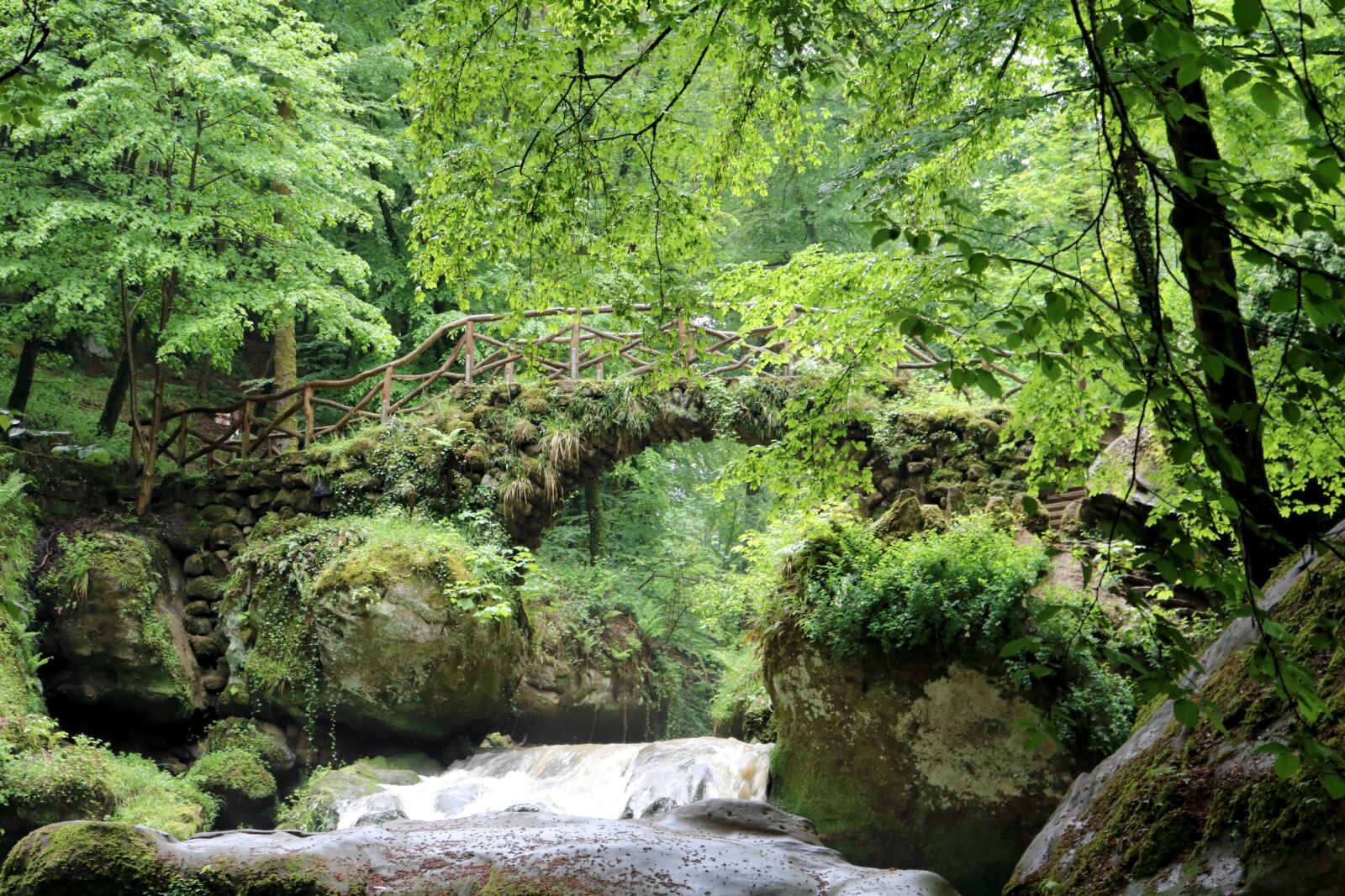 Canon EOS 750D (EOS Rebel T6i / EOS Kiss X8i) sample photo. Bridge, river, mullerthal photography