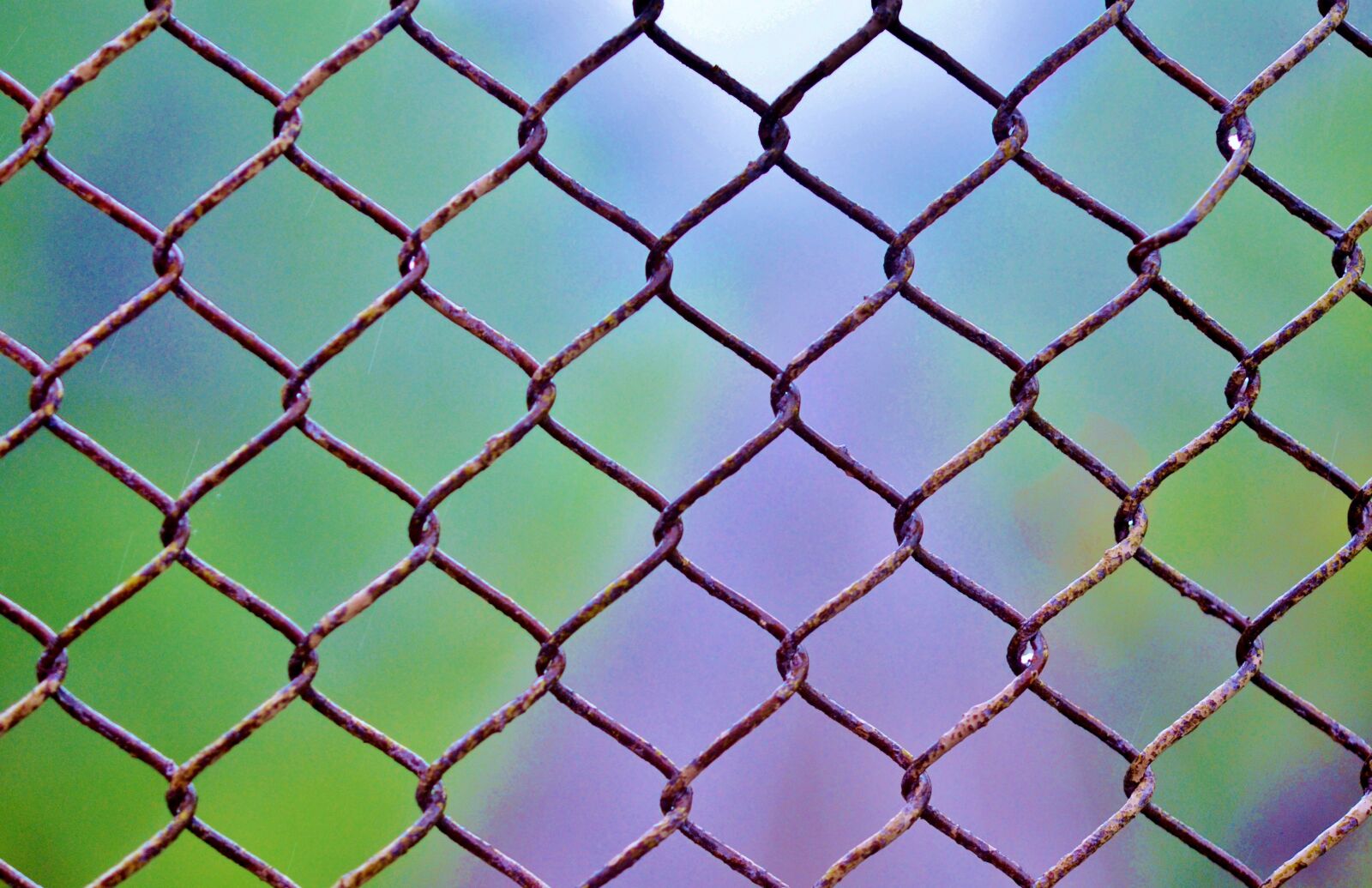Nikon D7000 sample photo. Grid, color, structure photography